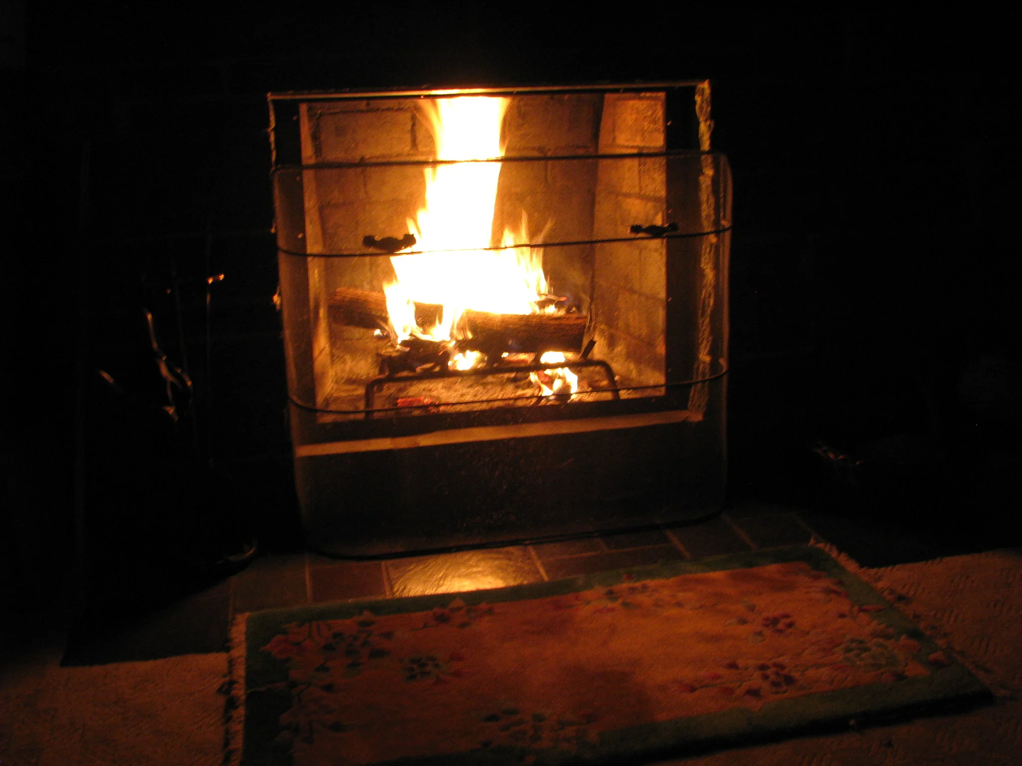 IMG_1509.webp