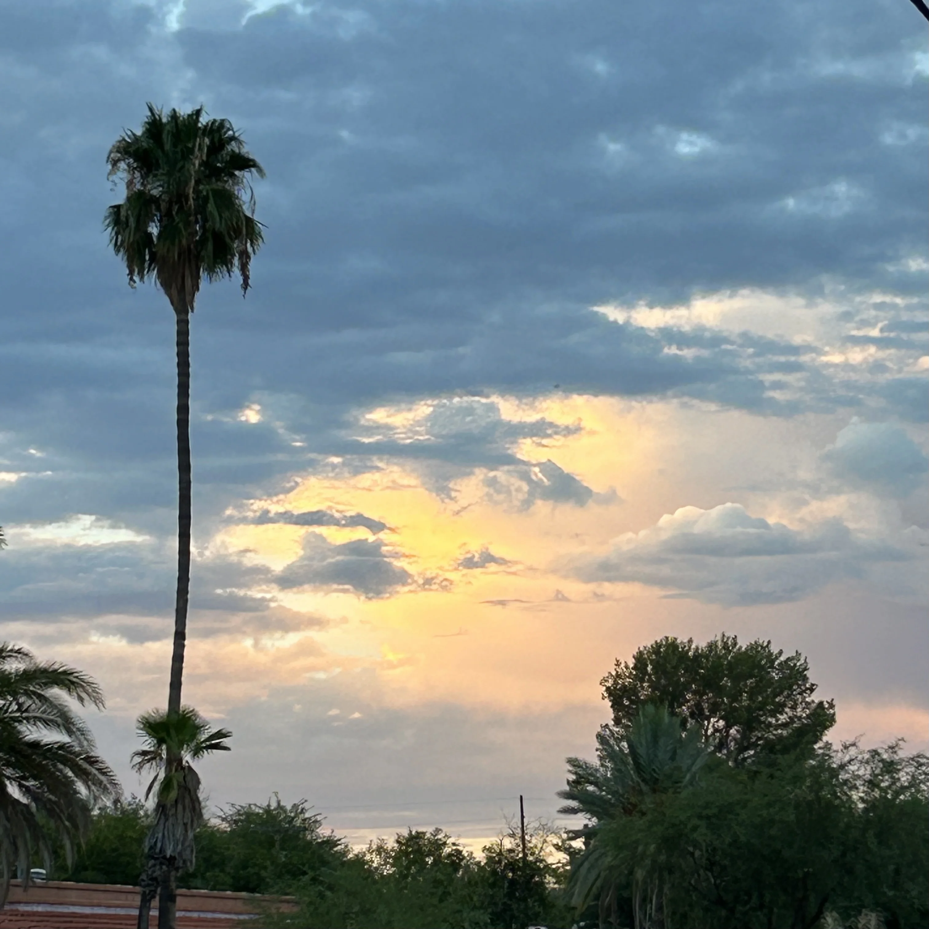 IMG_1686.jpeg