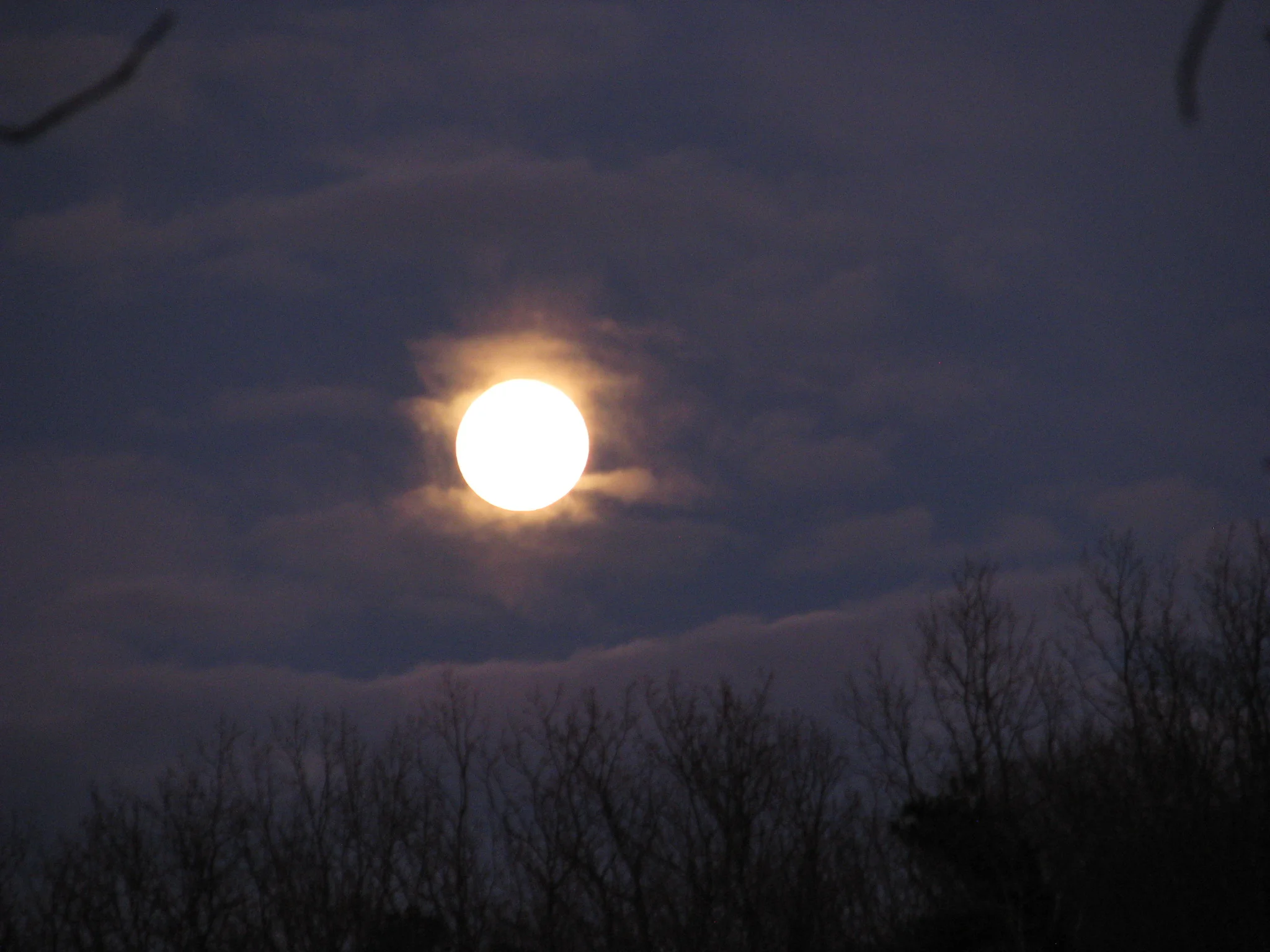 IMG_1707.webp