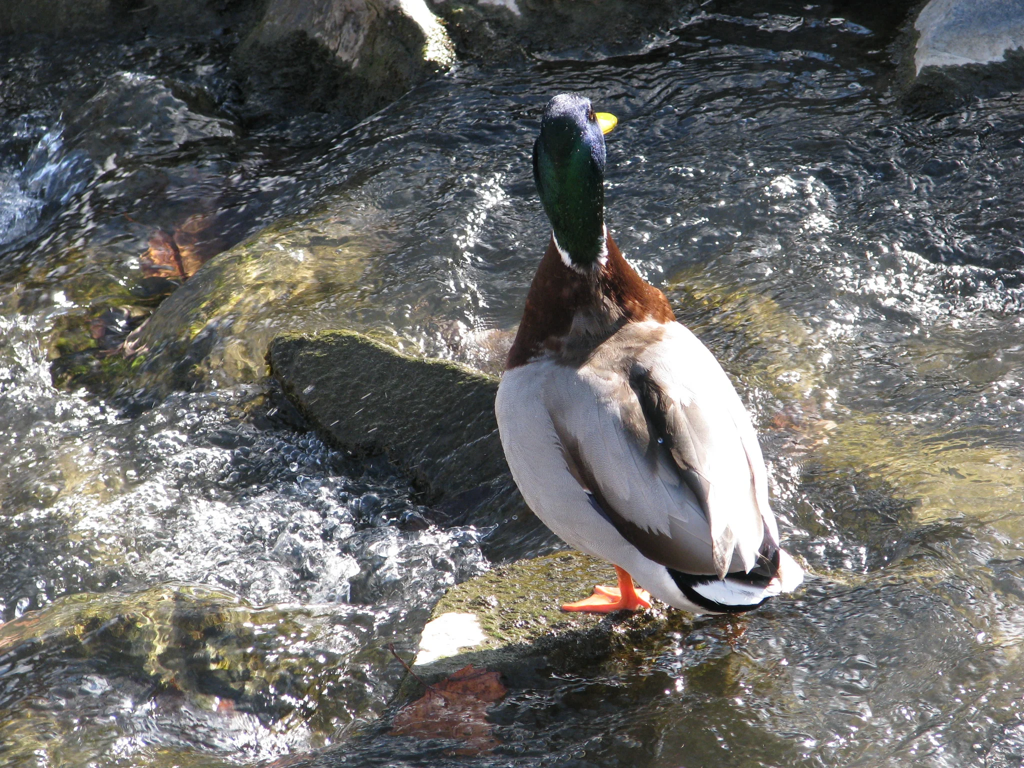 IMG_1815.webp
