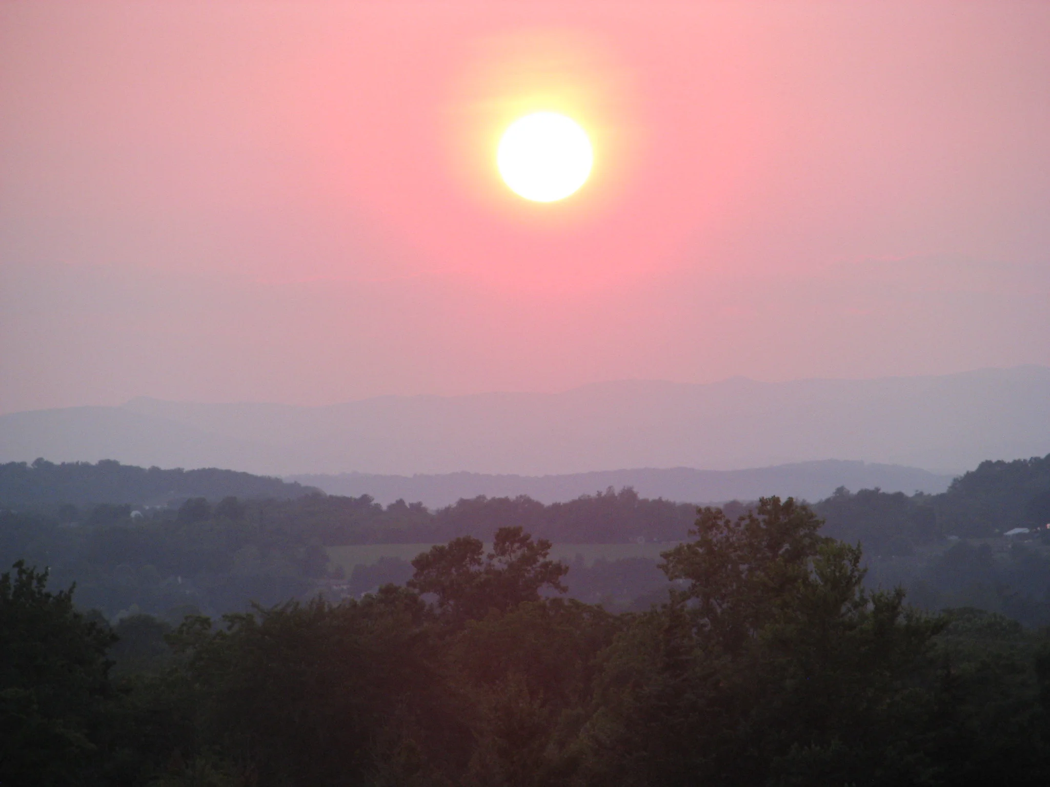 IMG_1898.webp