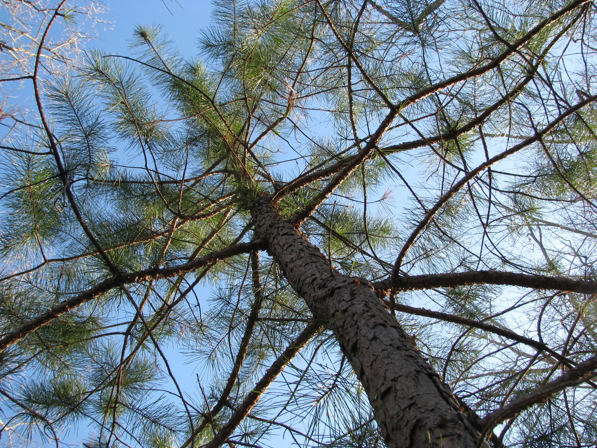 IMG_1912.webp