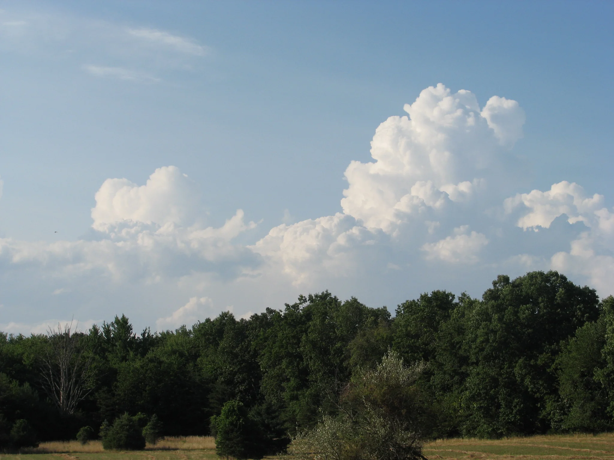 IMG_1912.webp