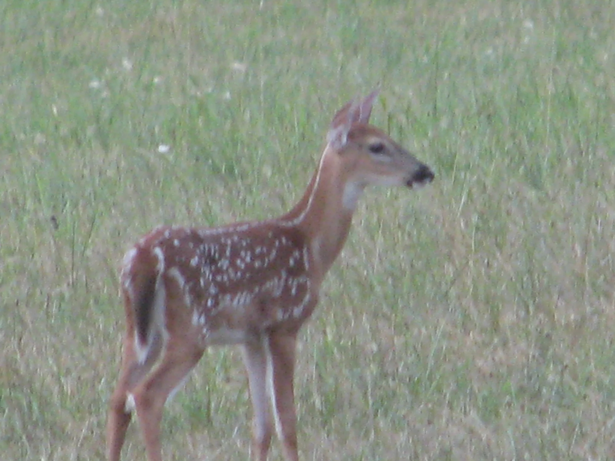 IMG_2007.webp
