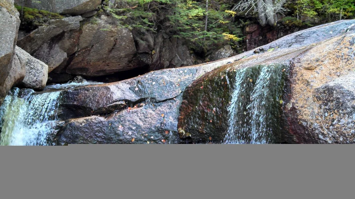 IMG_20130927_133512_855.webp