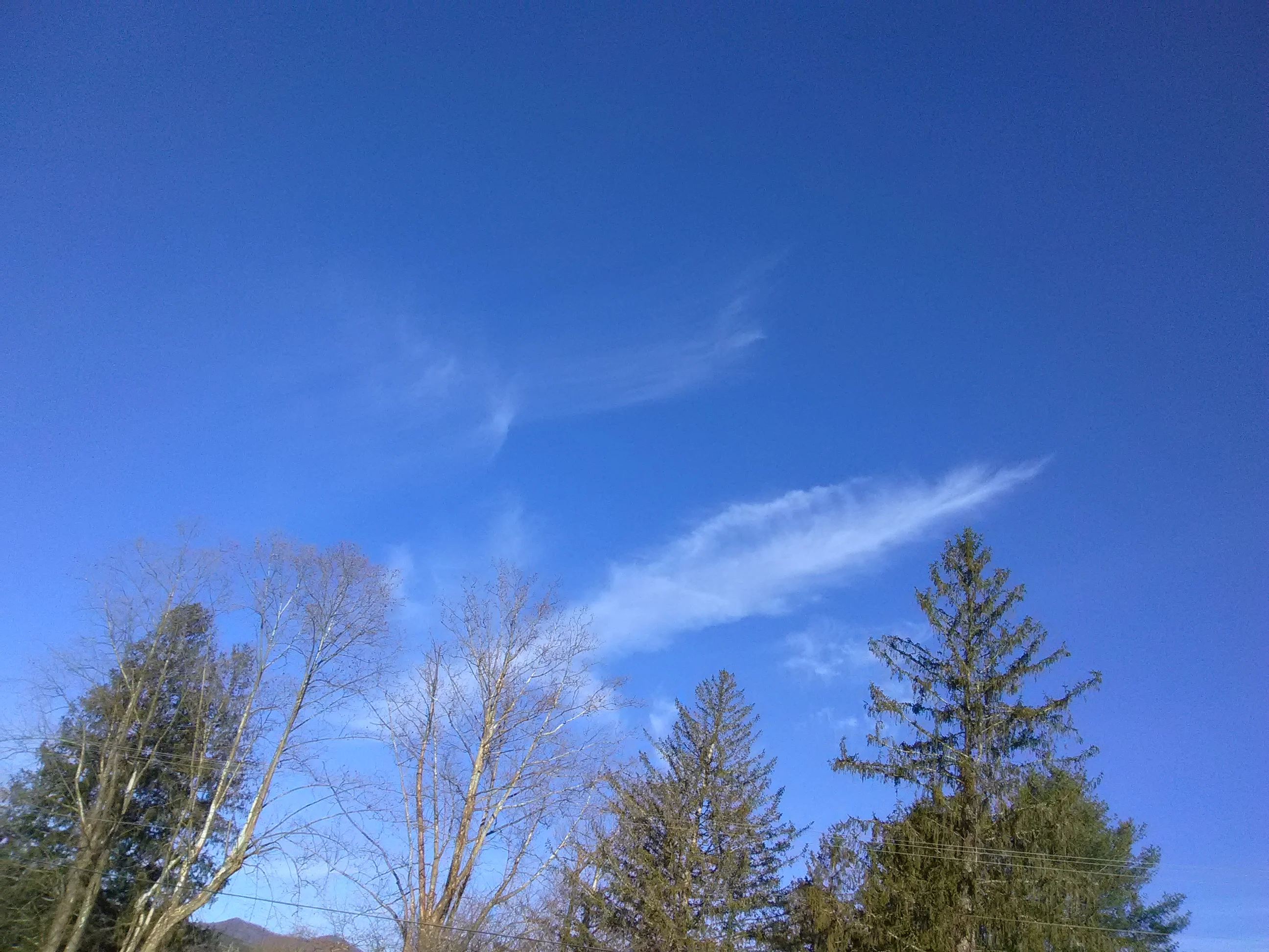 IMG_20190111_090649.webp