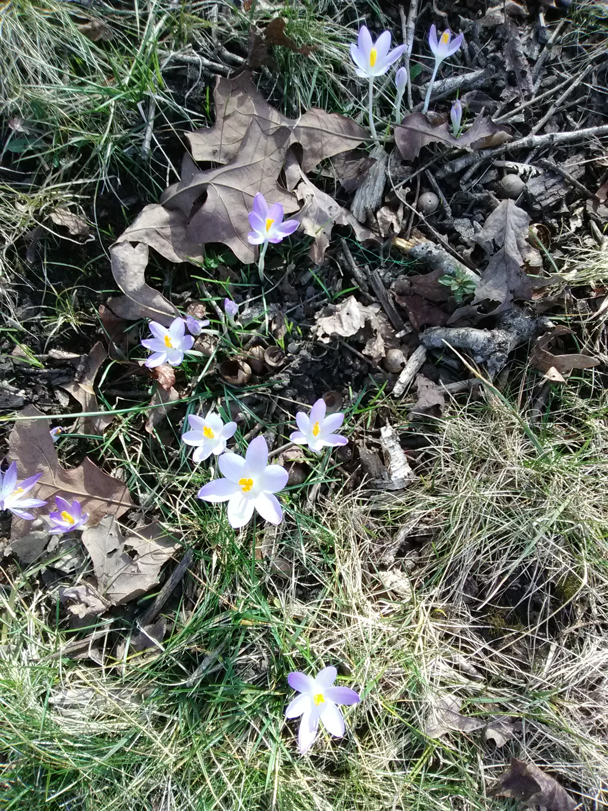 IMG_20190209_153748.webp