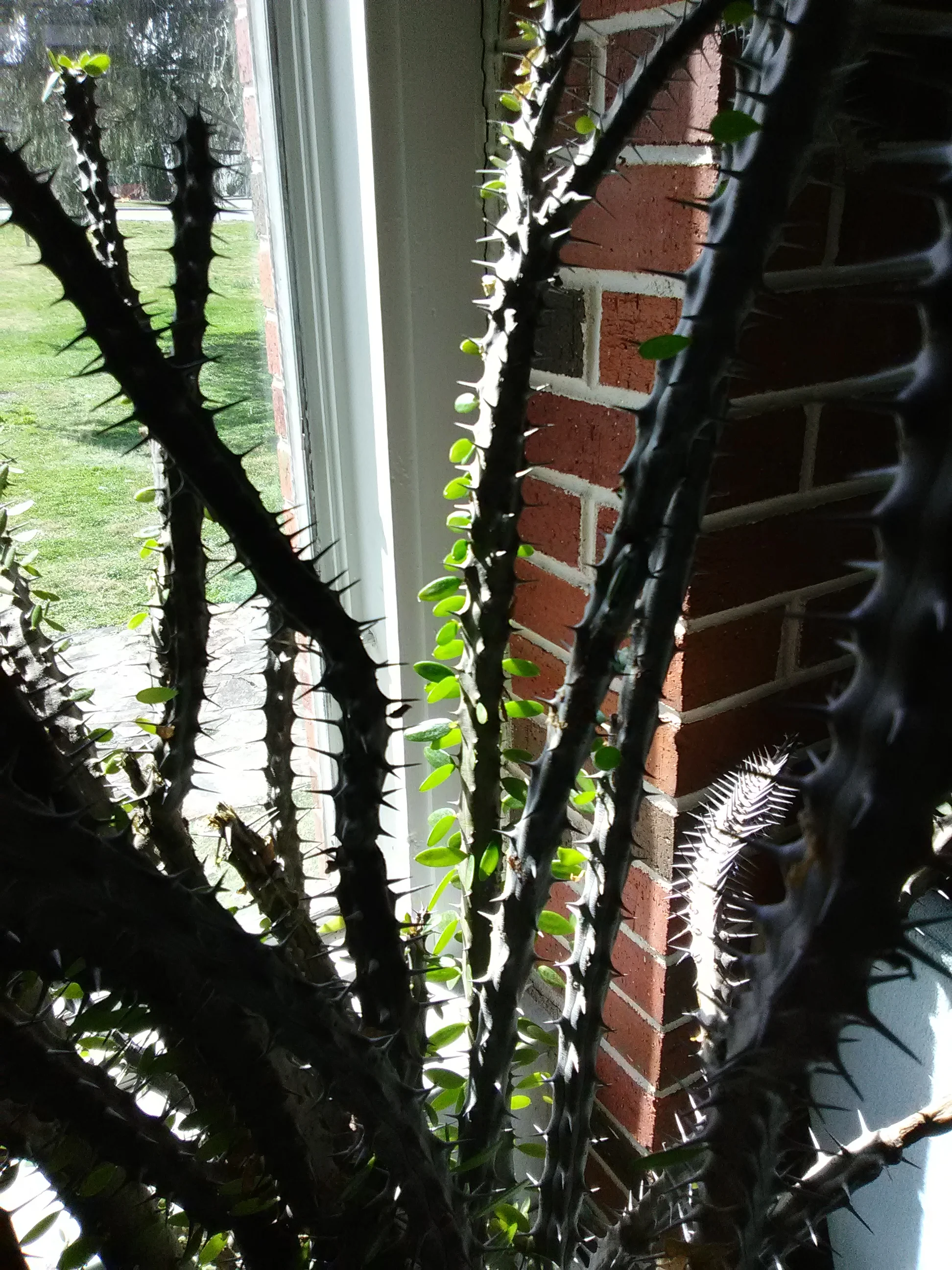 IMG_20190214_121047.webp