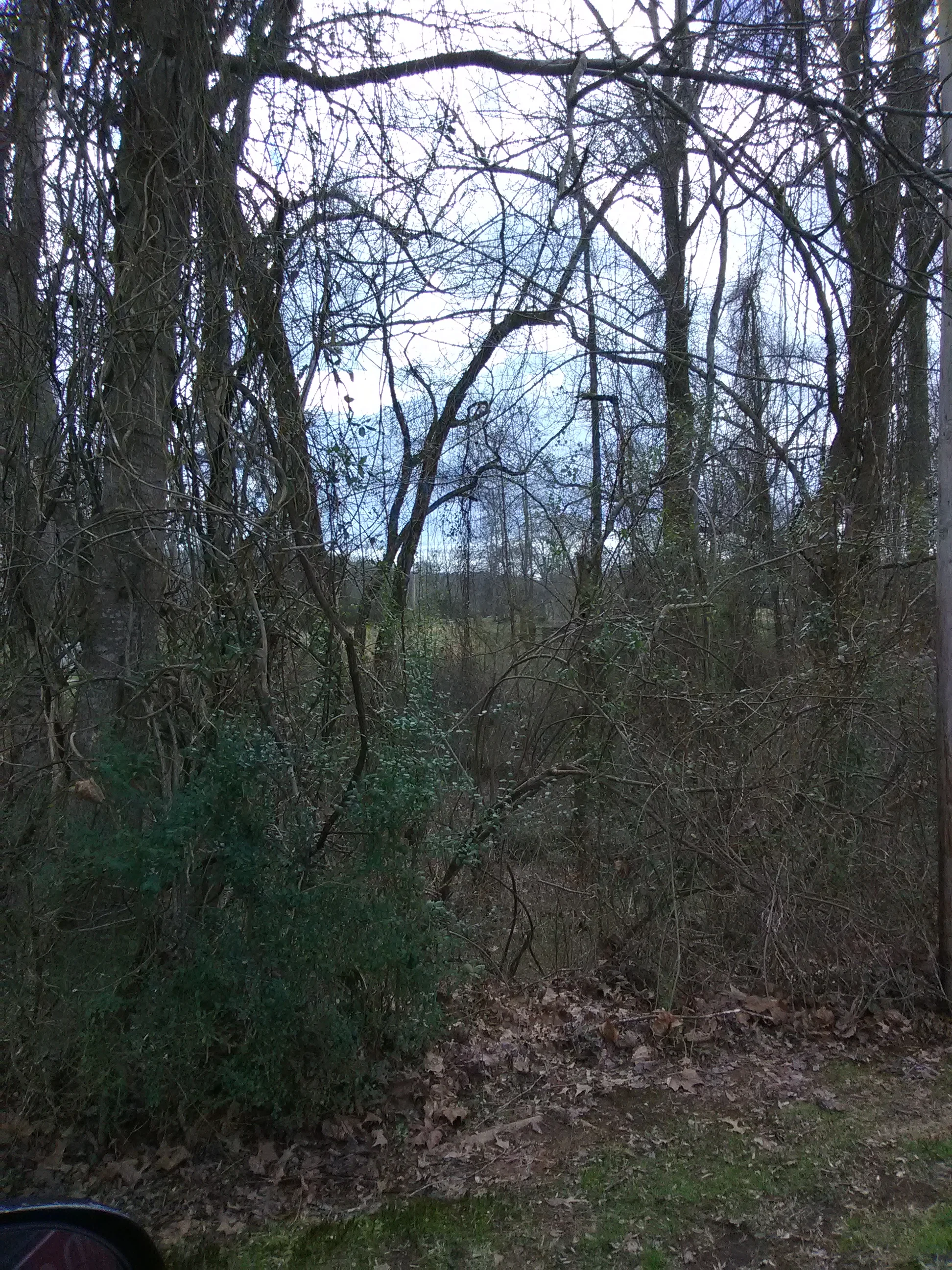 IMG_20190226_130101.webp