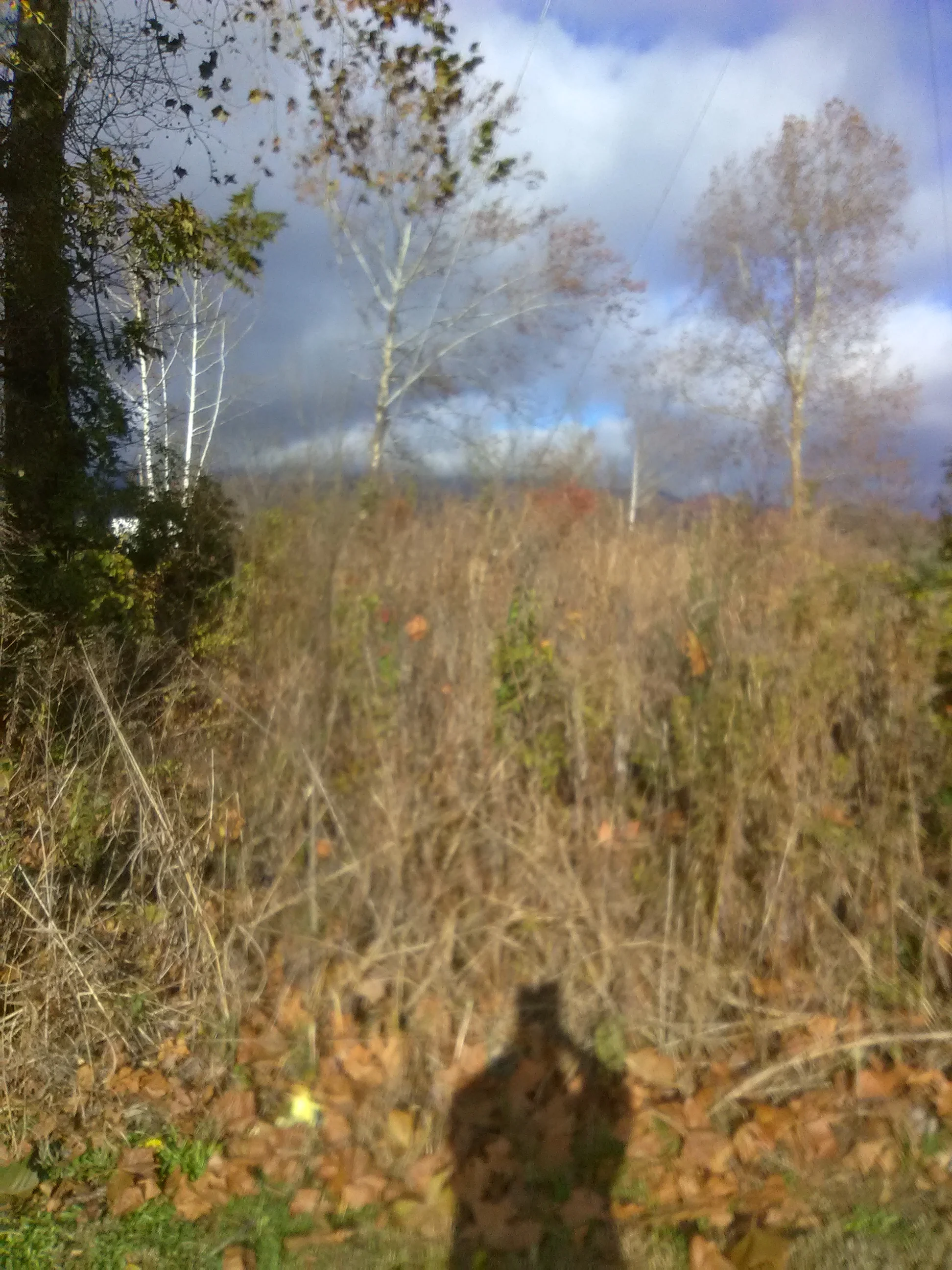 IMG_20191112_152609.webp