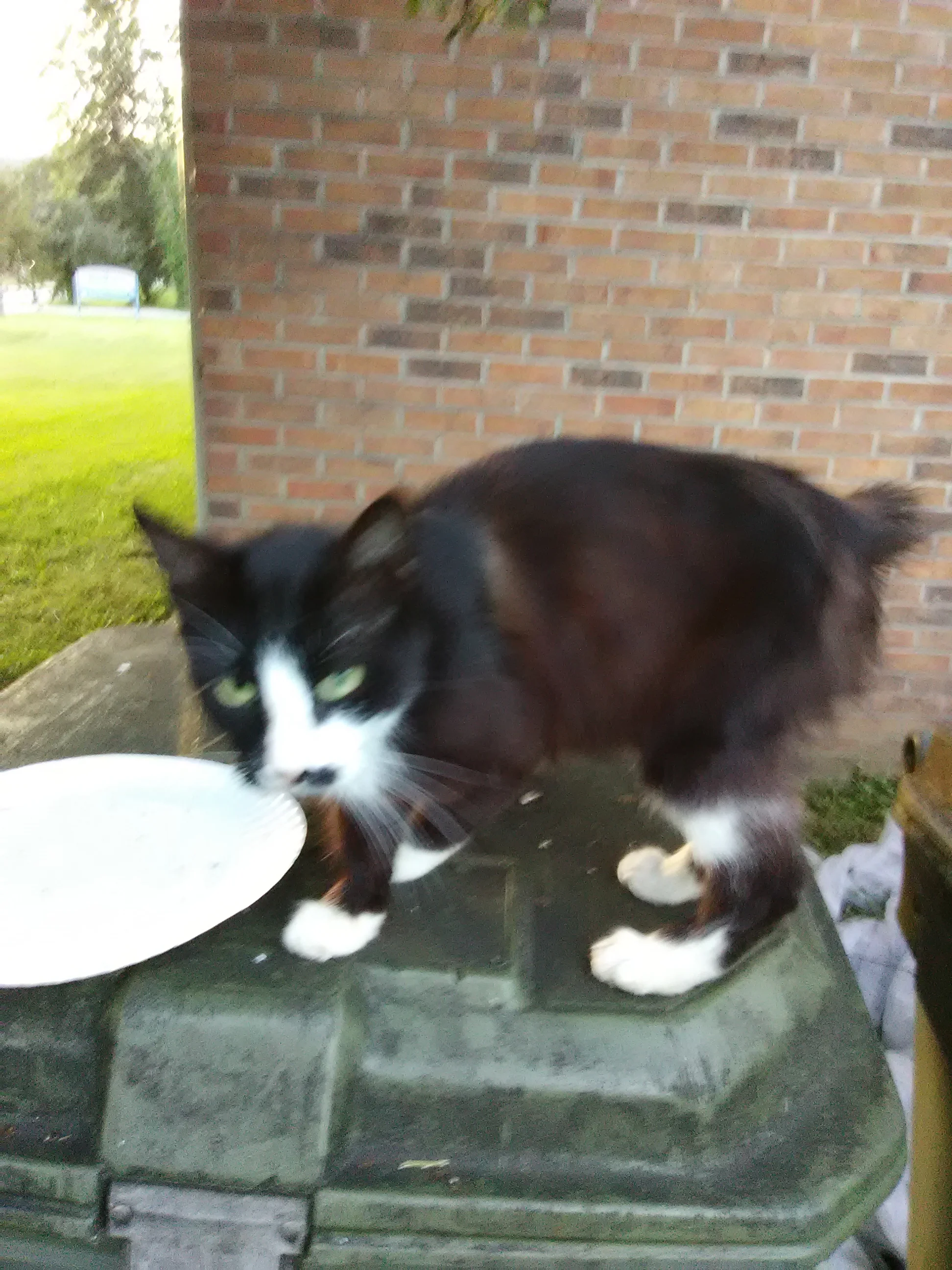 IMG_20200530_202850.webp