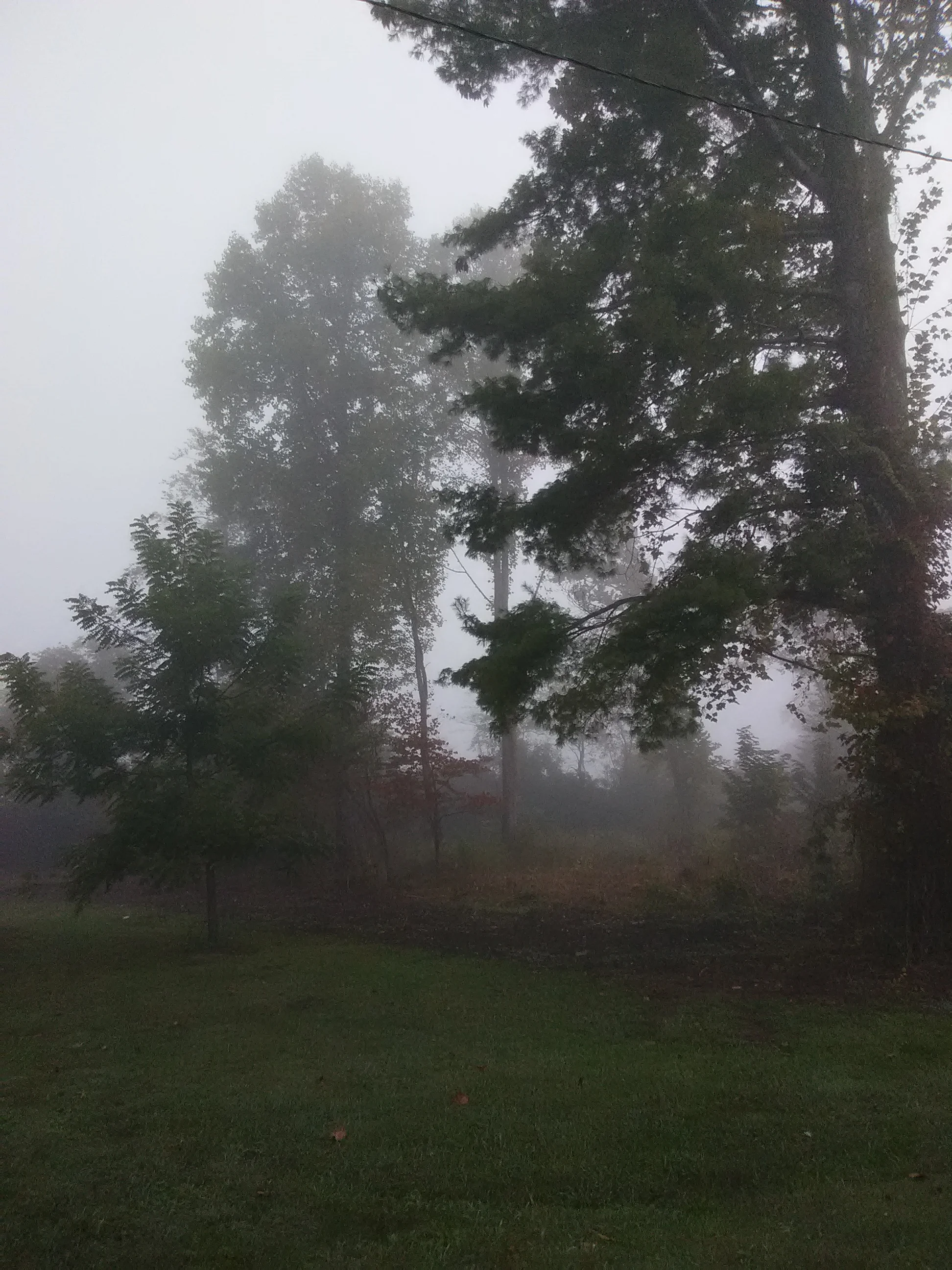 IMG_20201005_083027.webp
