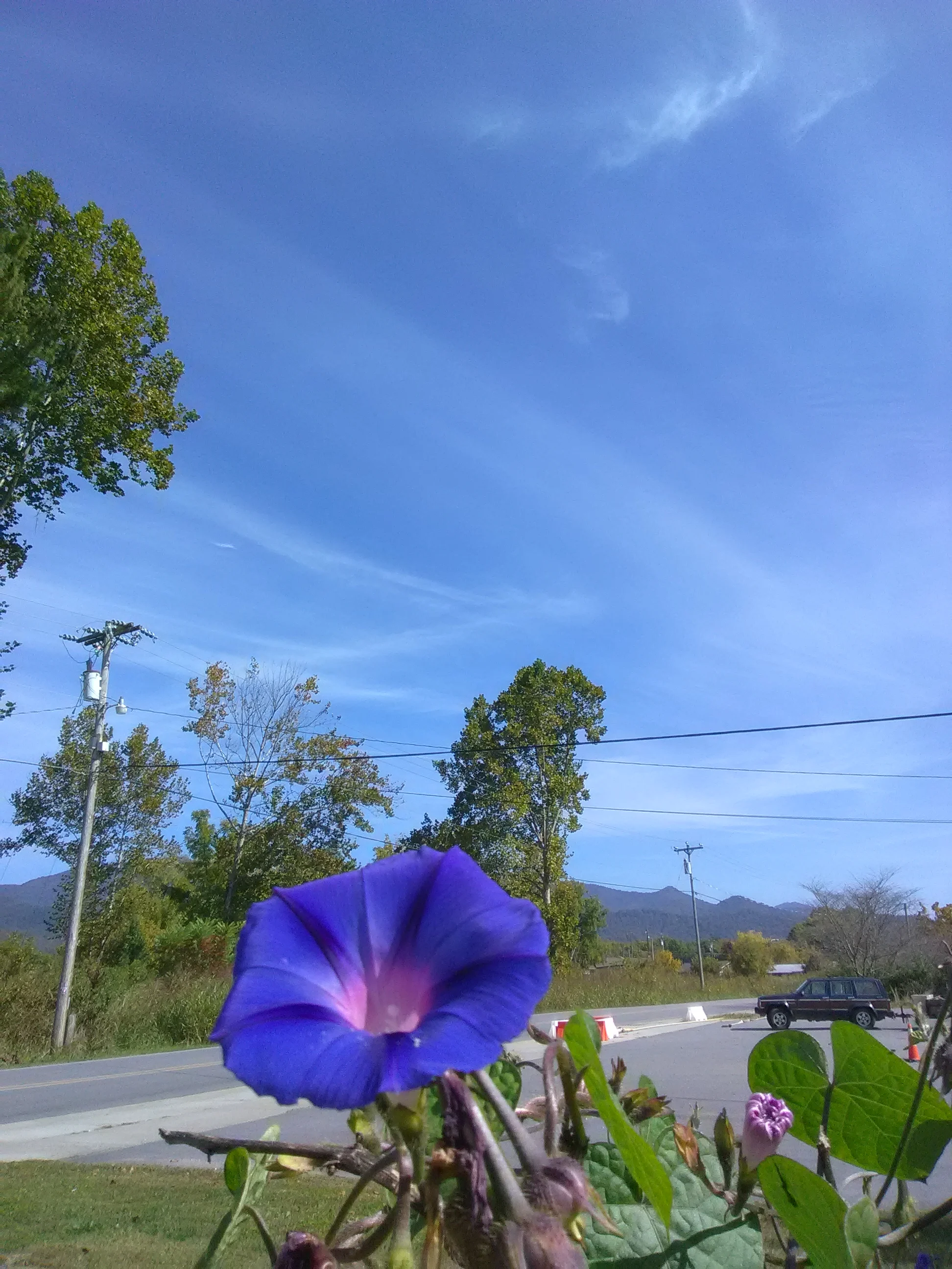 IMG_20201008_120632.webp