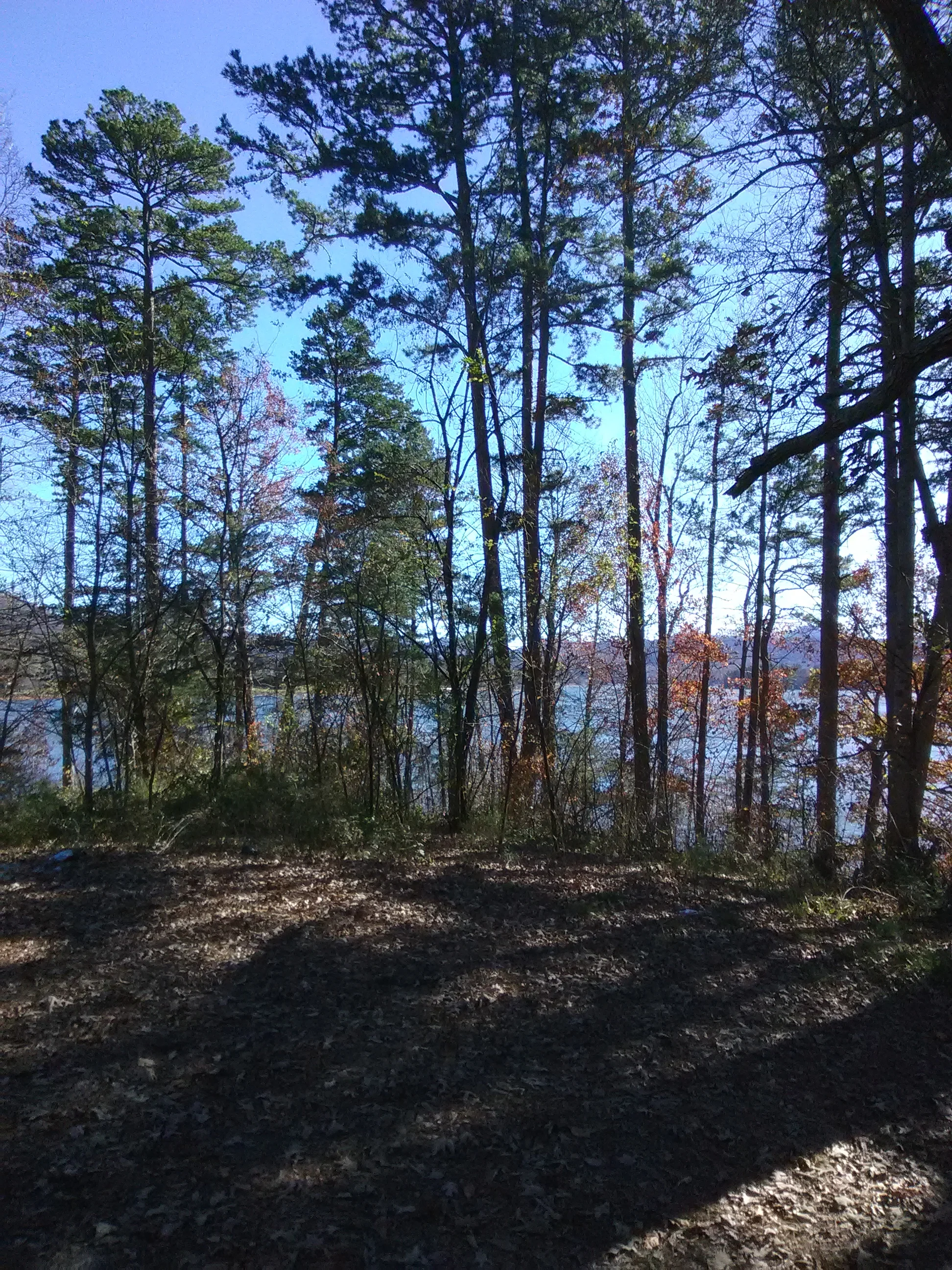 IMG_20201117_131304.webp