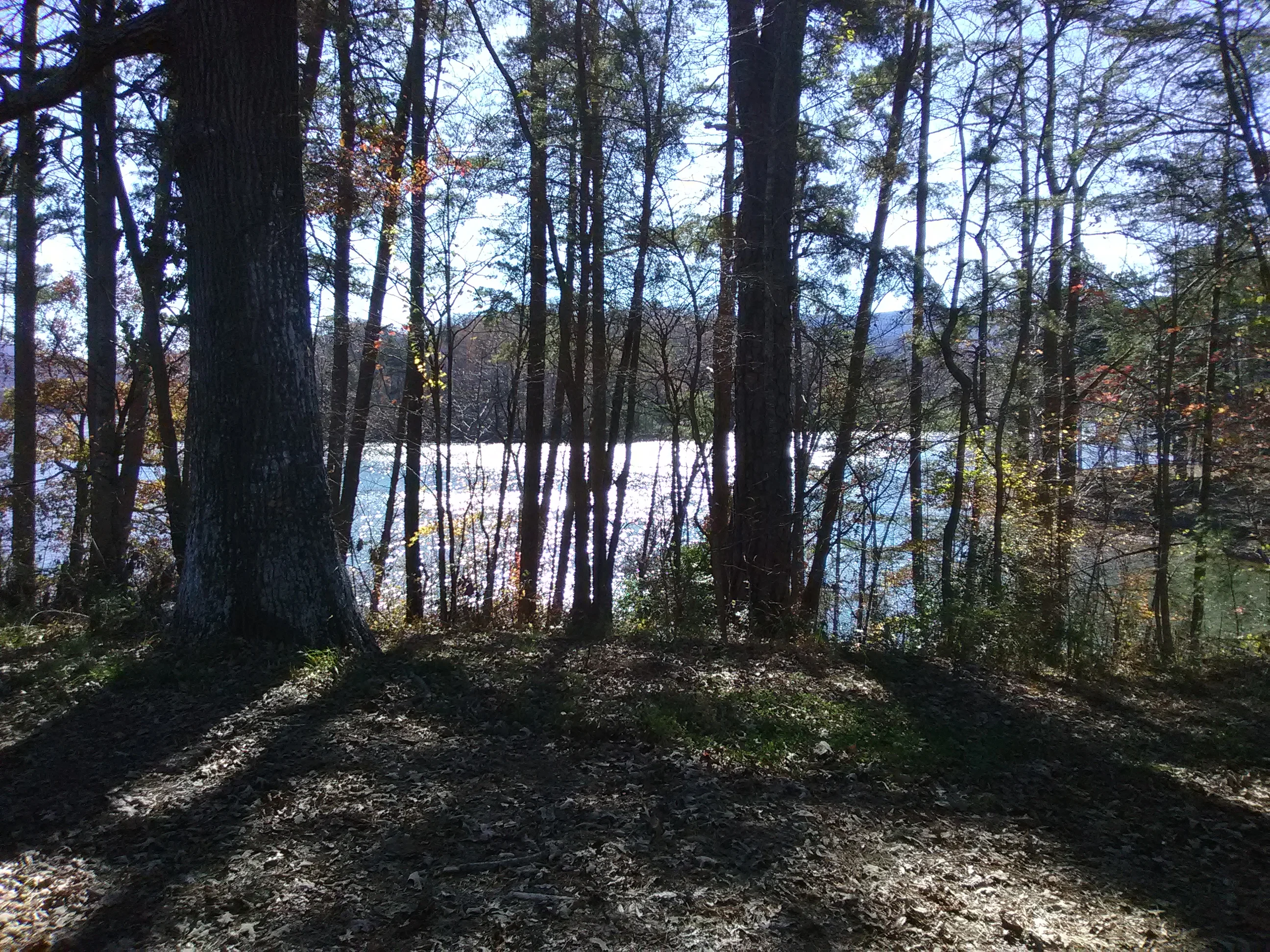IMG_20201117_131324.webp