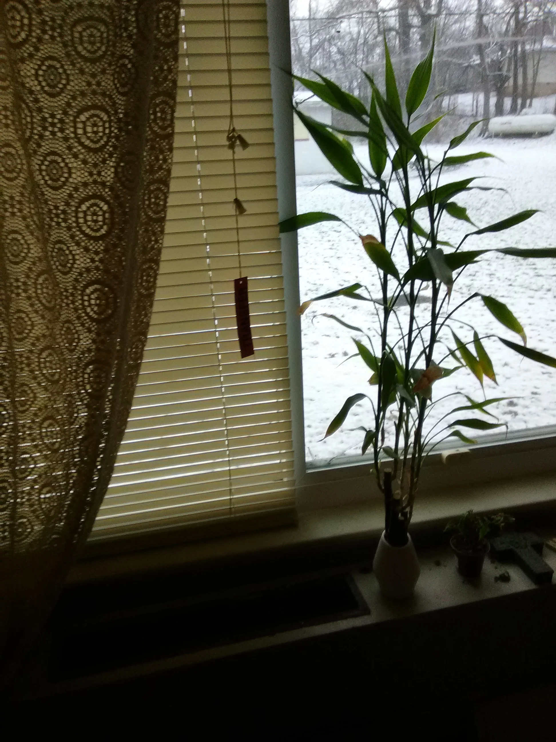 IMG_20210116_103734.jpg
