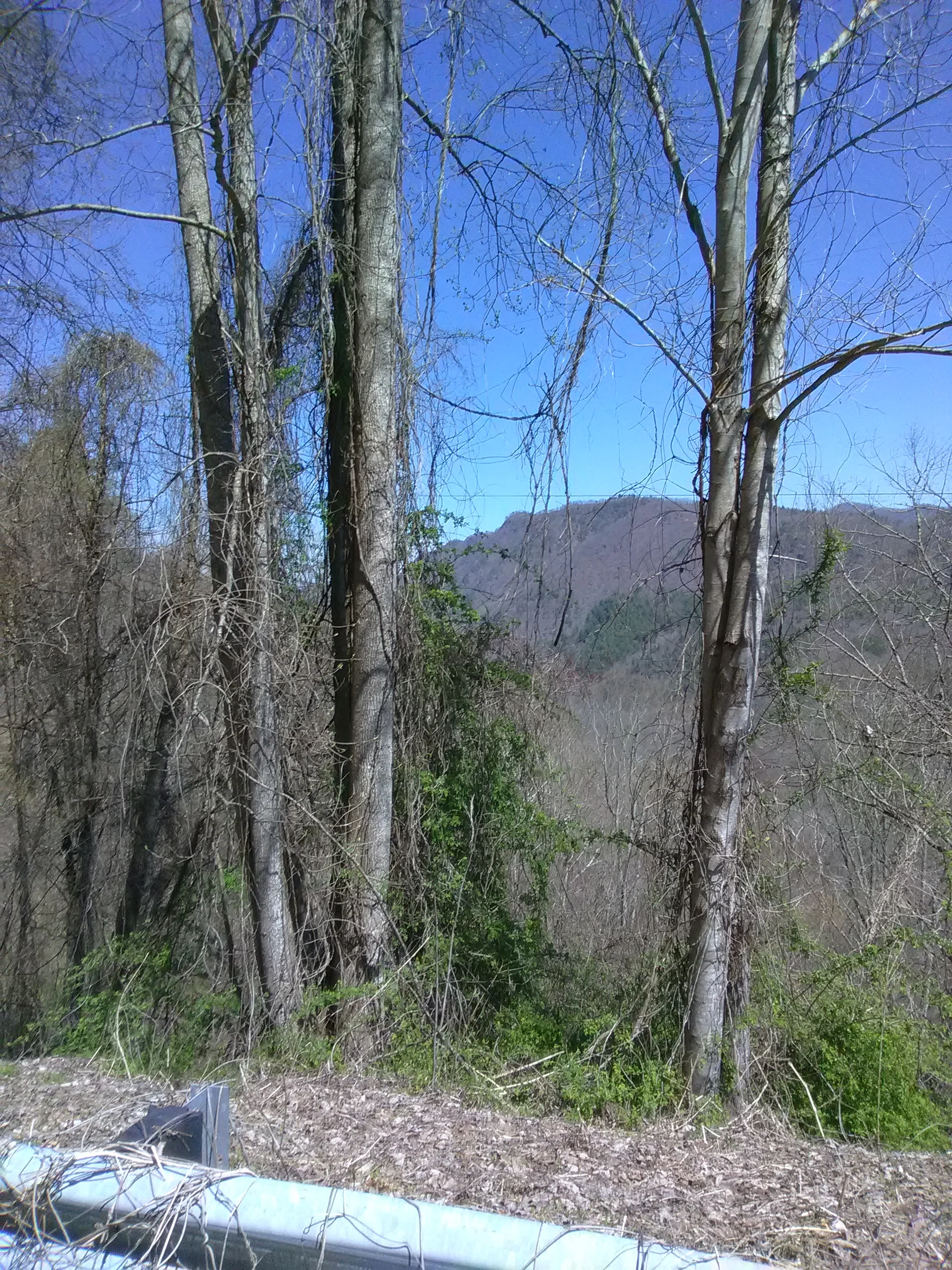 IMG_20210403_142309.webp
