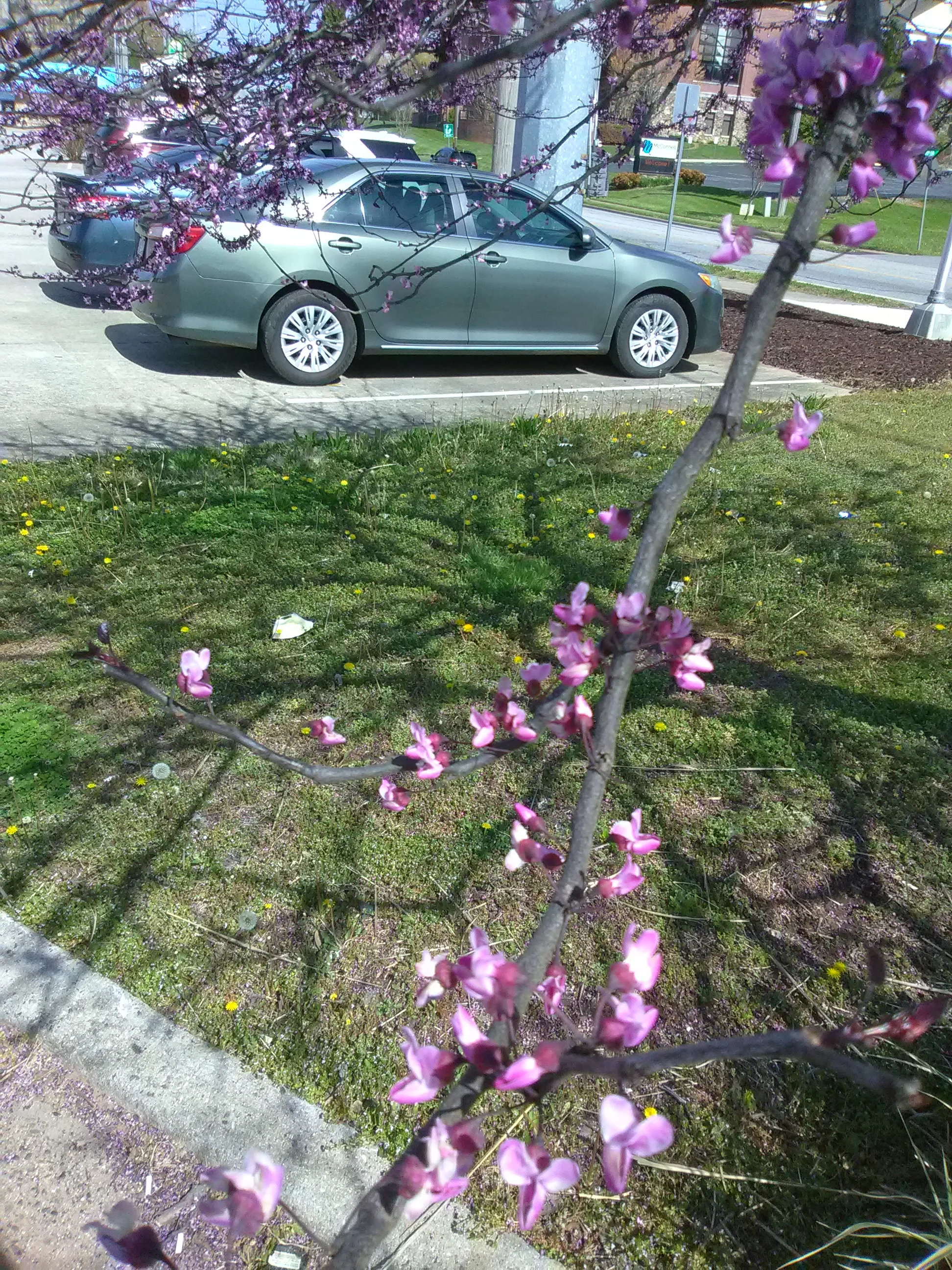 IMG_20210409_105425.webp