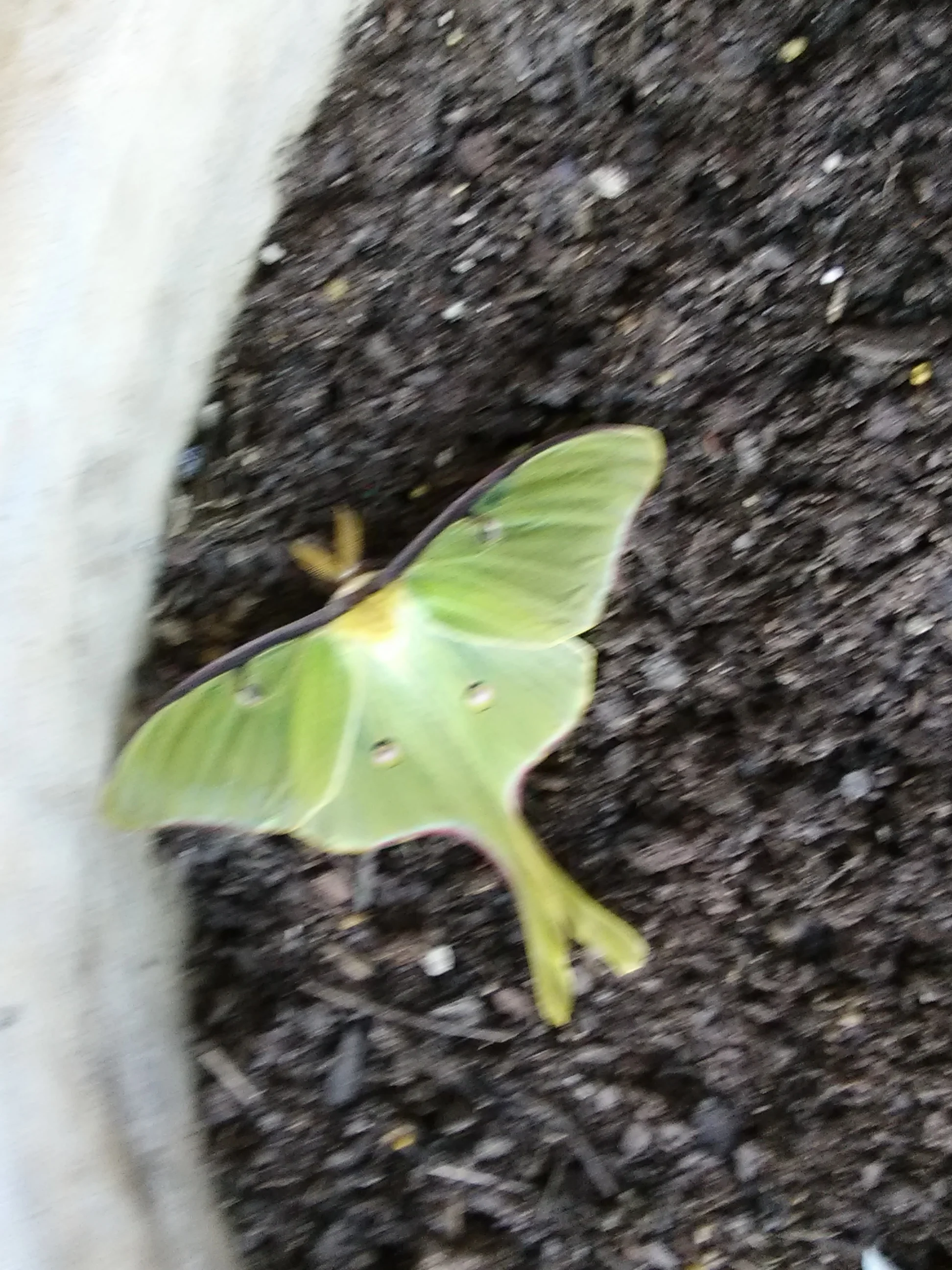 IMG_20210418_132330.webp