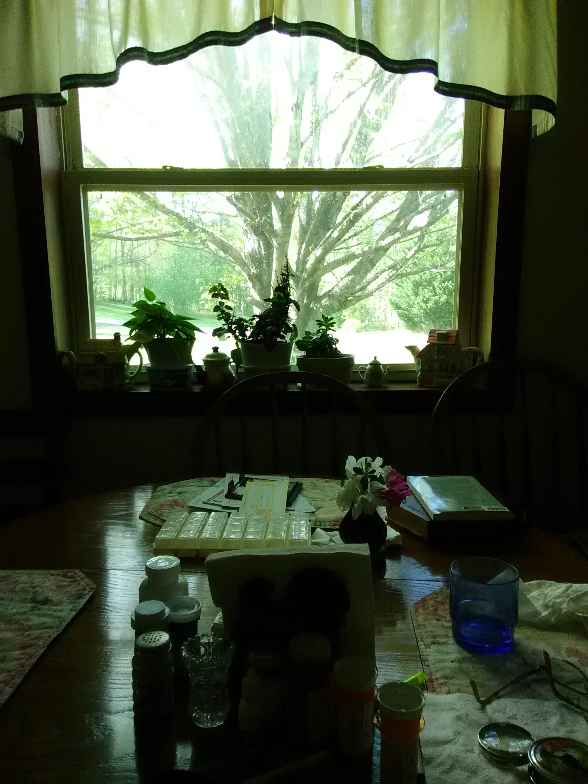 IMG_20210418_161302.webp