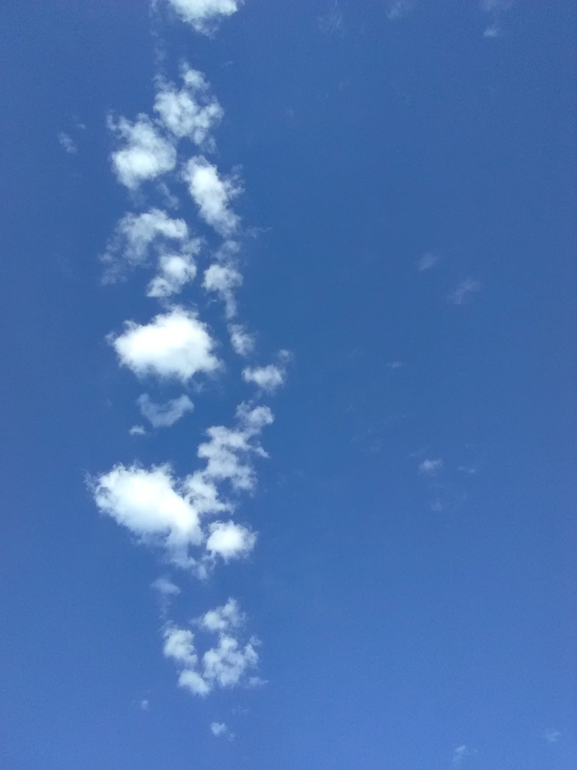IMG_20210616_085705.webp