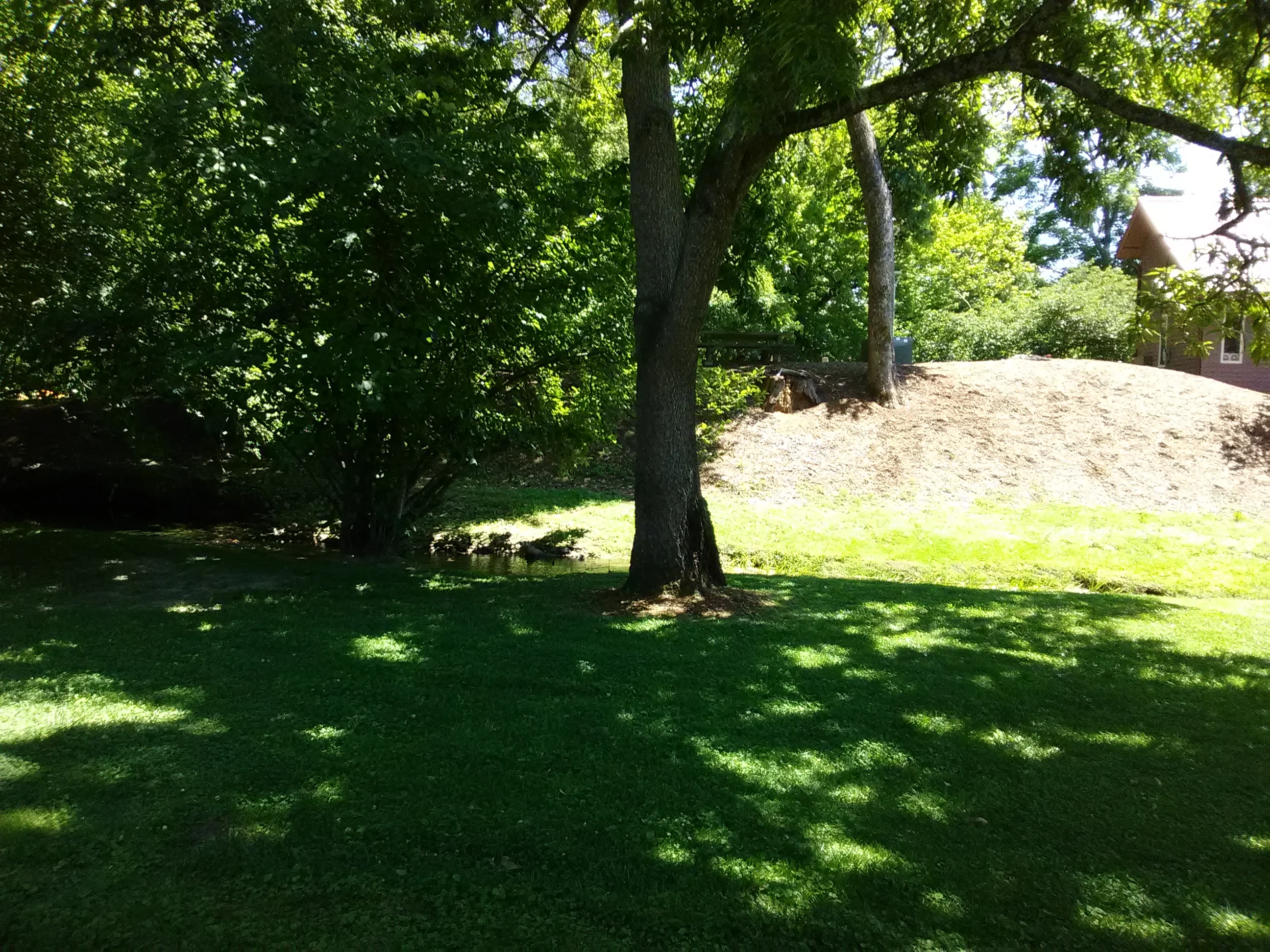 IMG_20210616_144634.webp