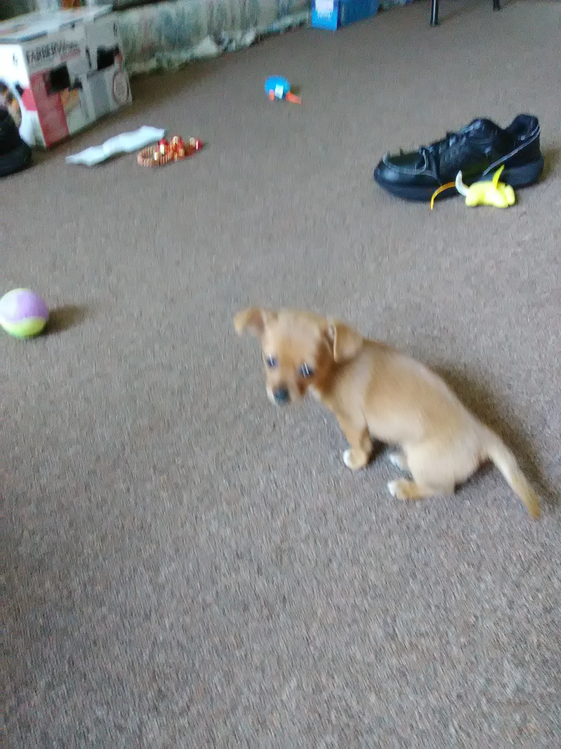 IMG_20210716_161851.webp