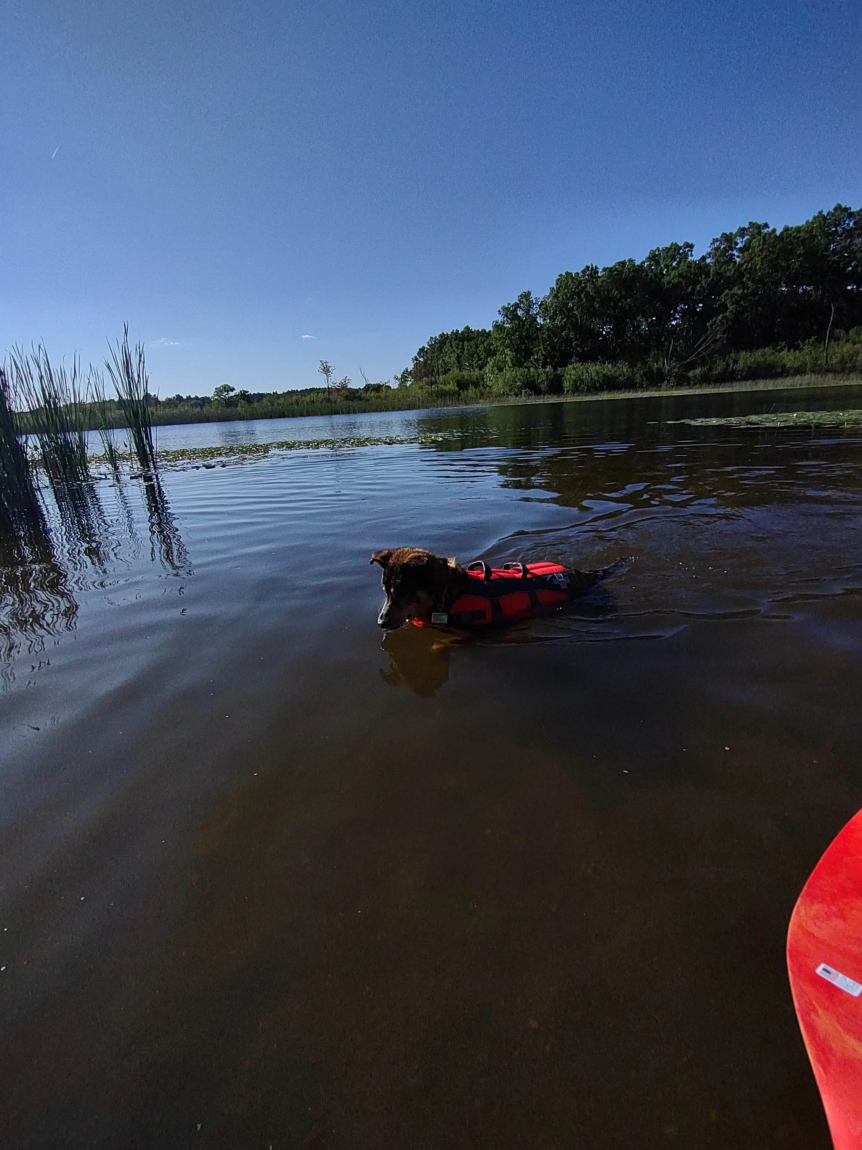 IMG_20210815_173849925.webp