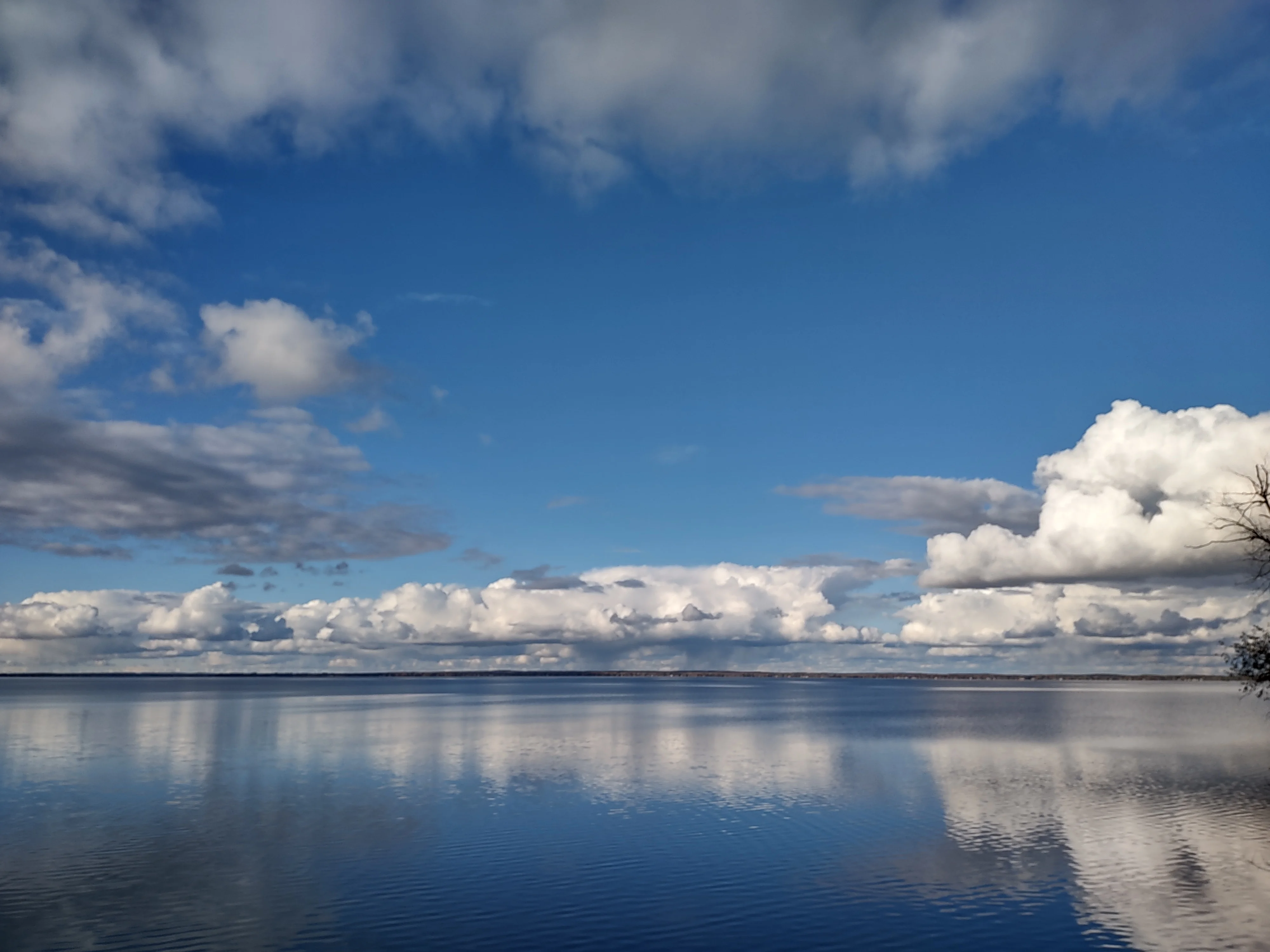IMG_20211023_164540351_HDR.jpg