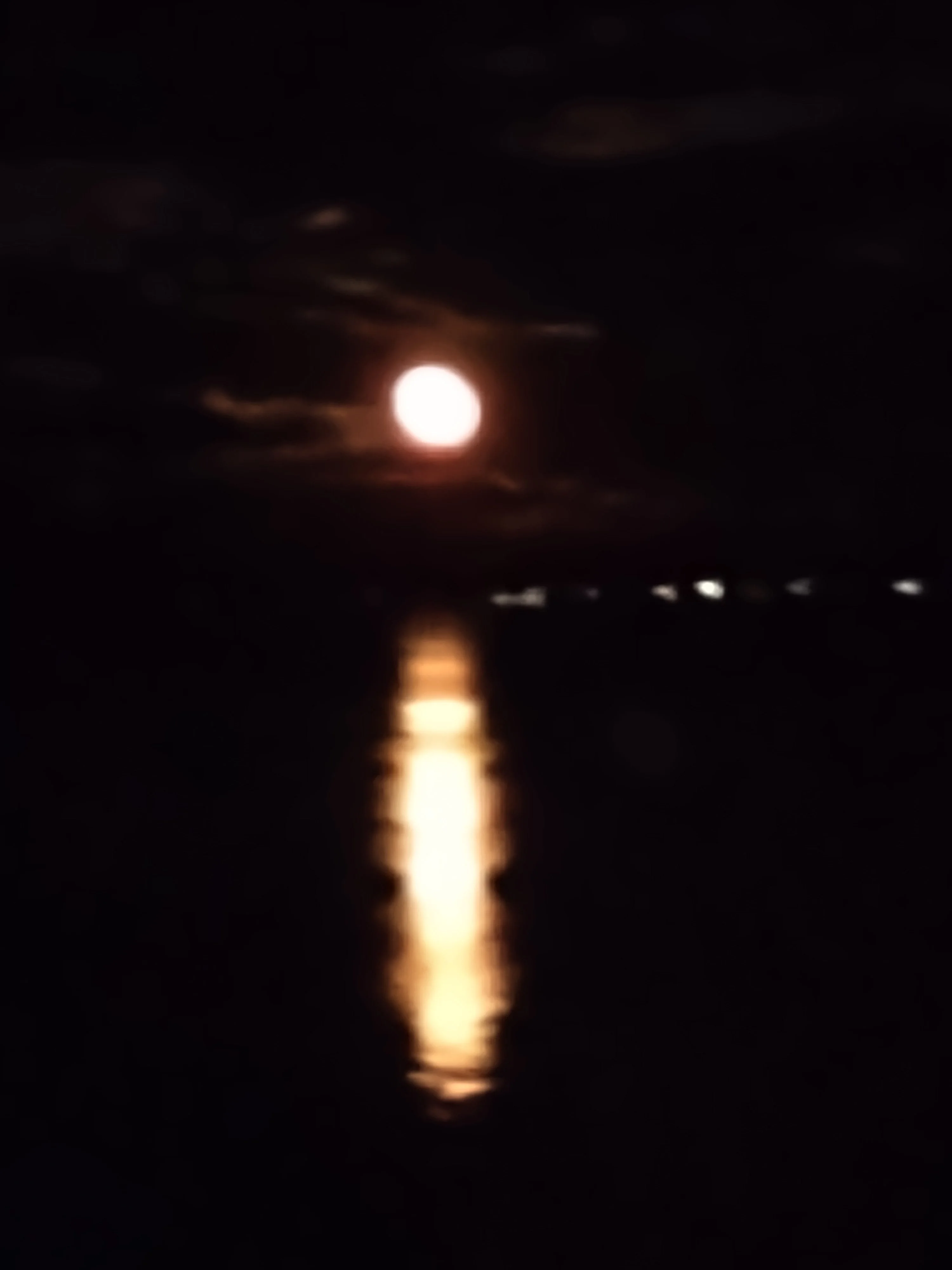 IMG_20211023_203234865.jpg