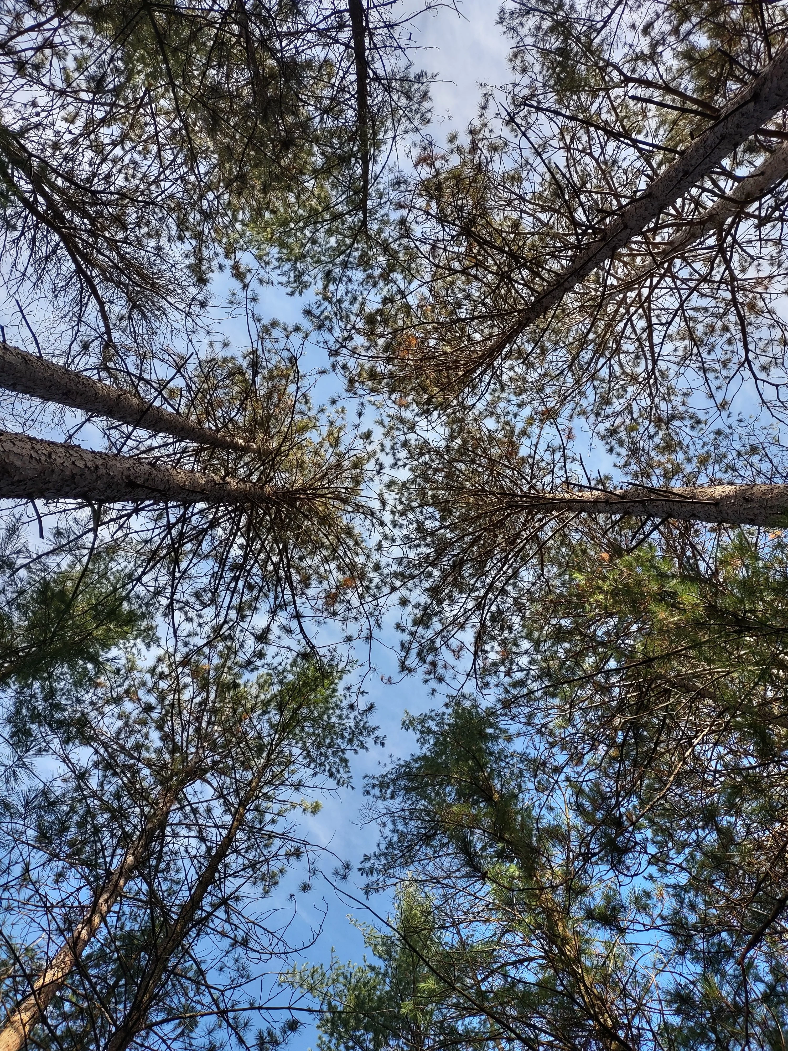 IMG_20211024_105702864_HDR.webp