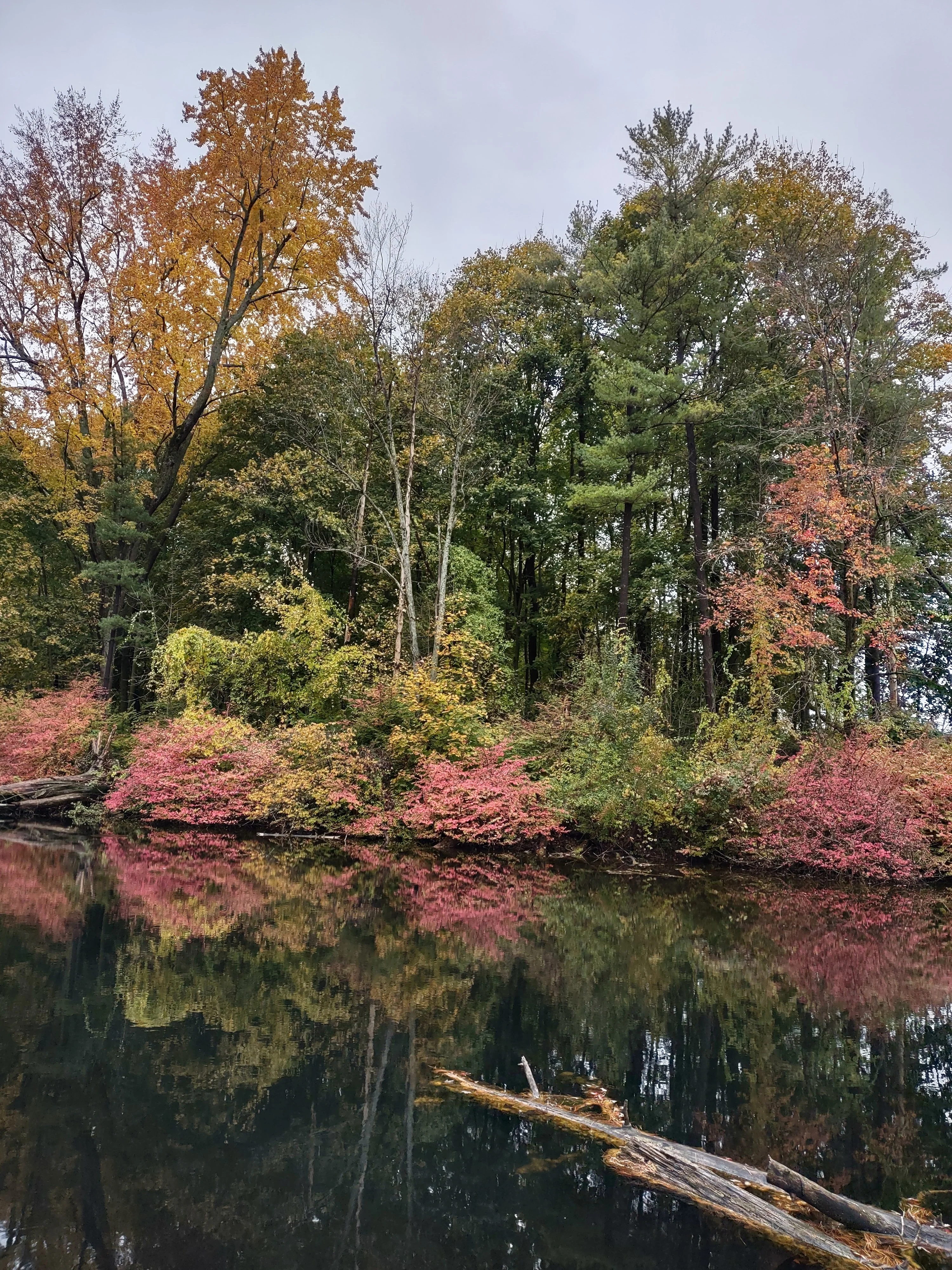 IMG_20211030_153952355_HDR.webp