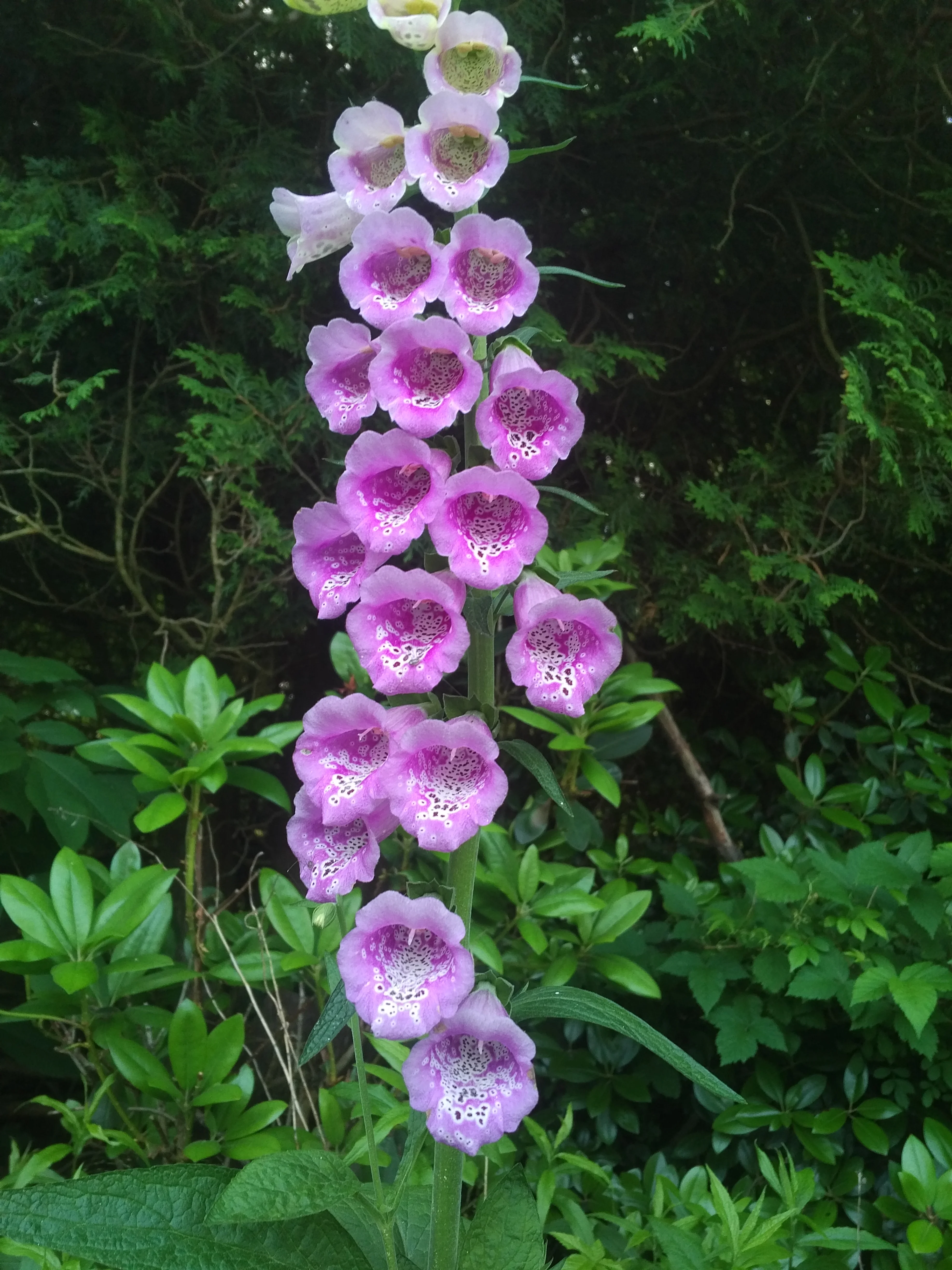 IMG_20220605_0716564.webp