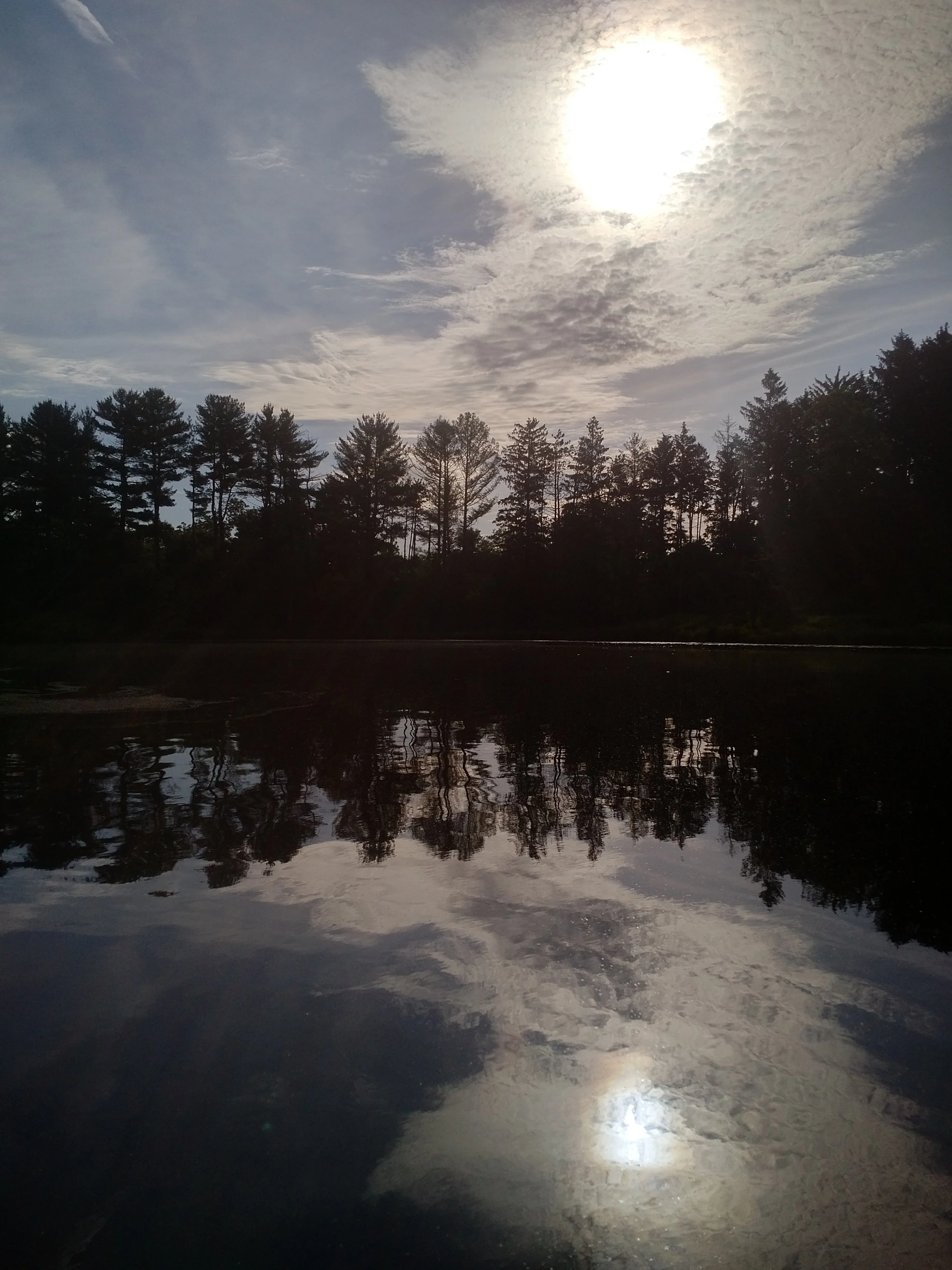 IMG_20220605_0748392.webp
