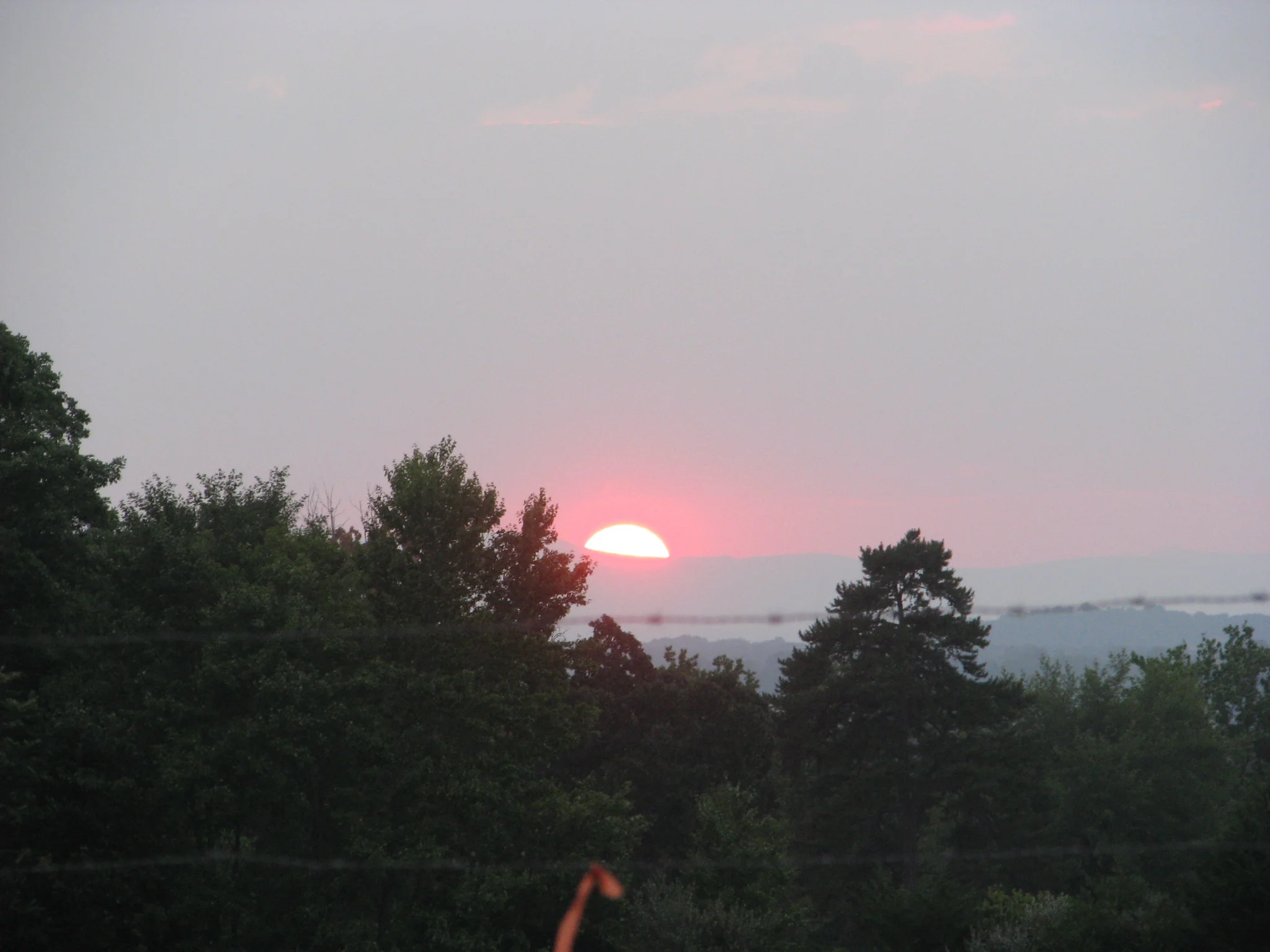 IMG_2113.webp