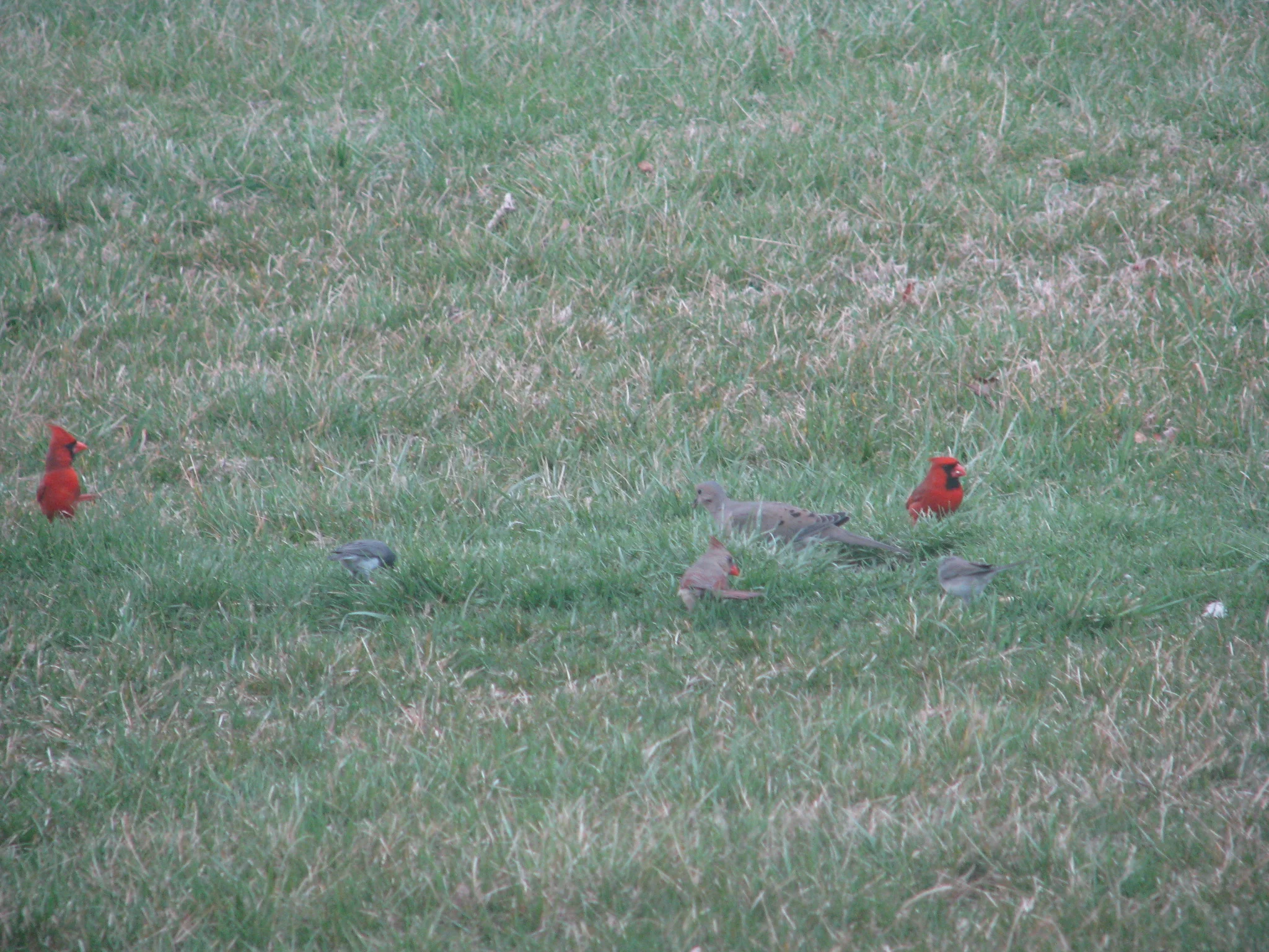 IMG_2175.webp