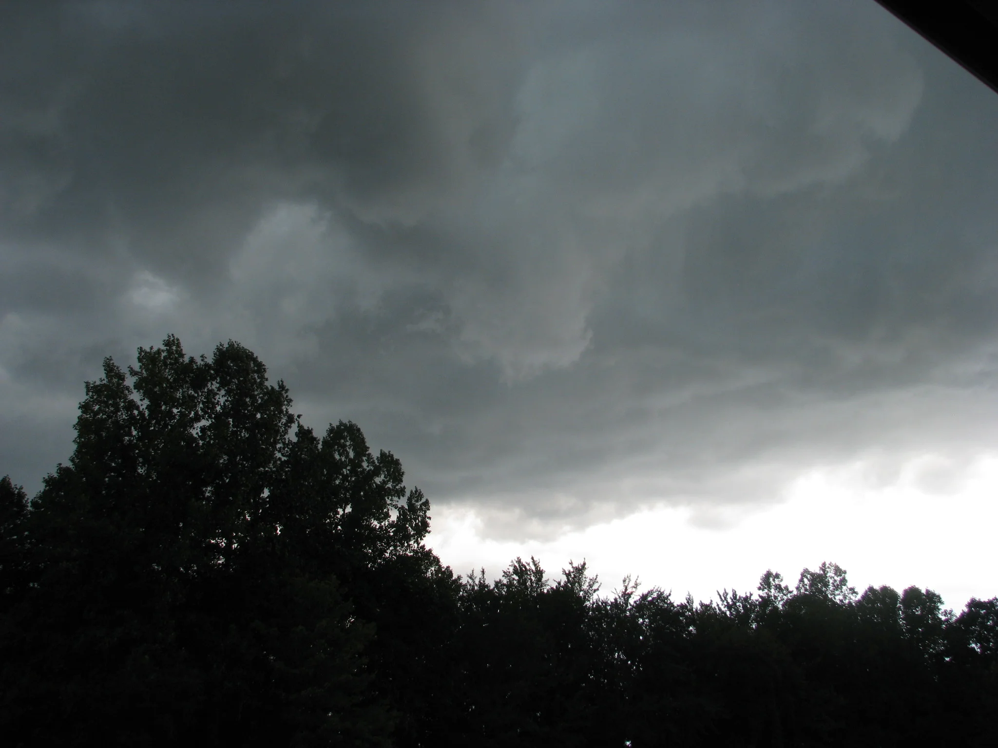 IMG_2202.webp