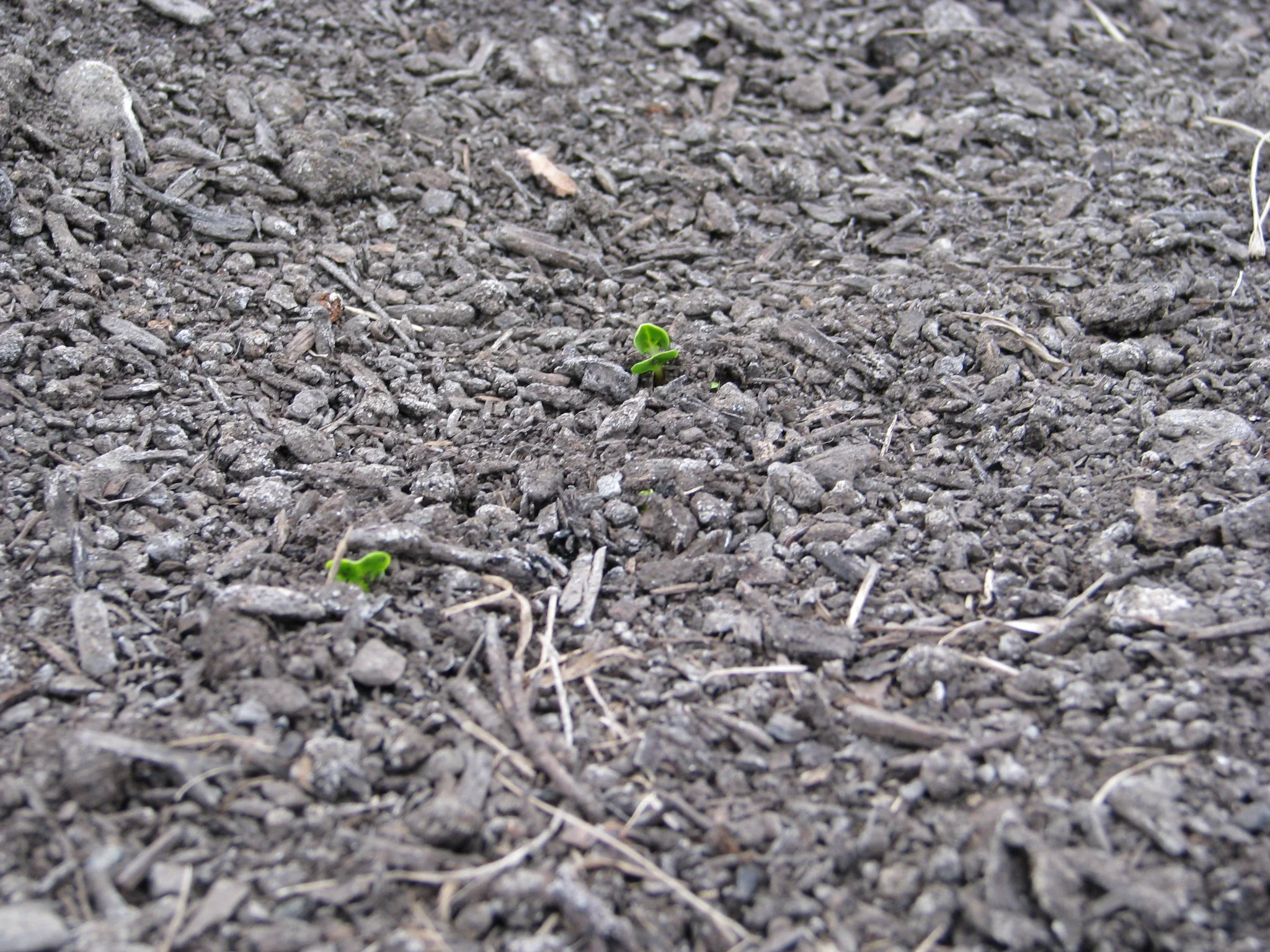 IMG_2314.webp