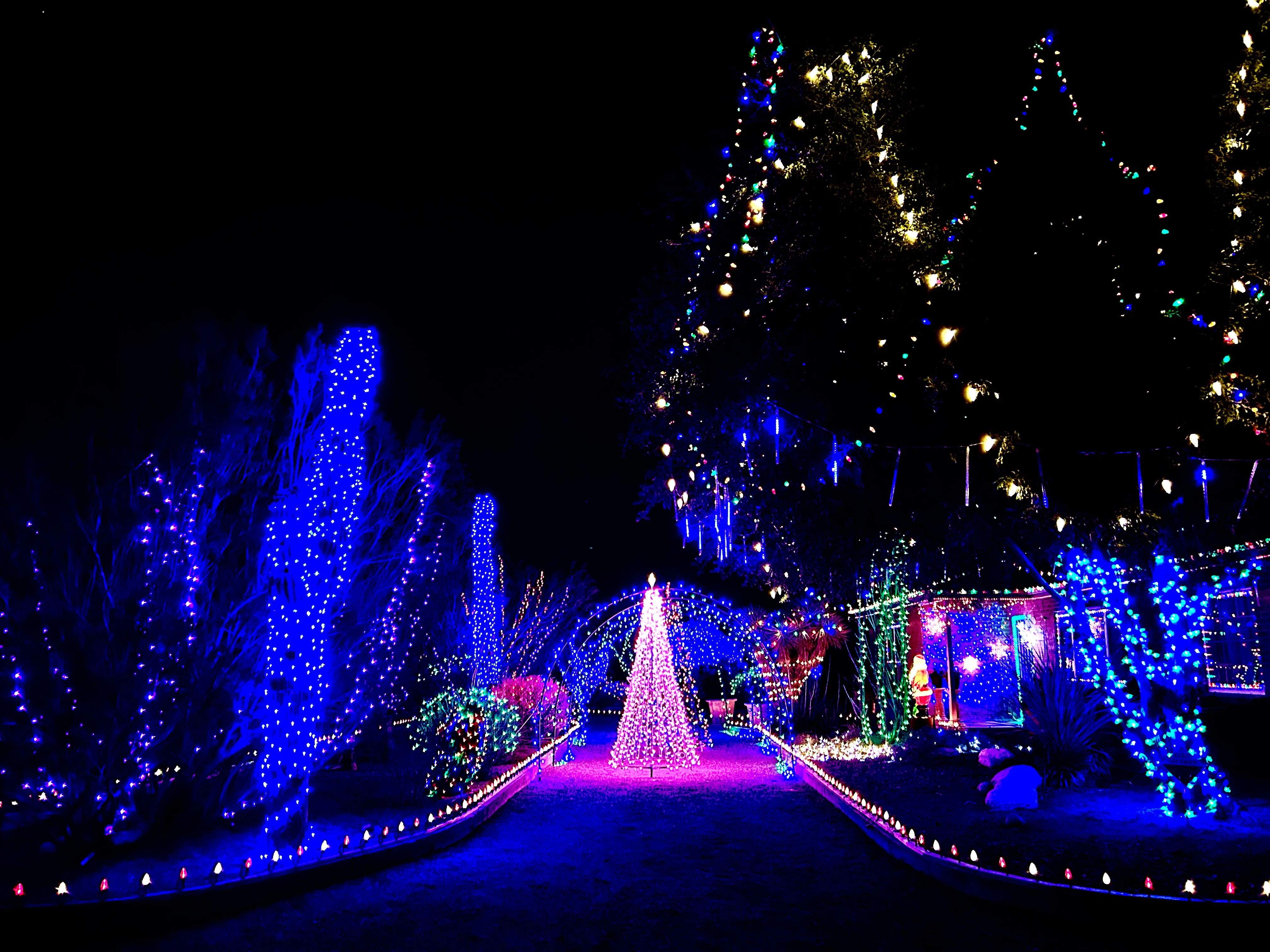IMG_2483.webp