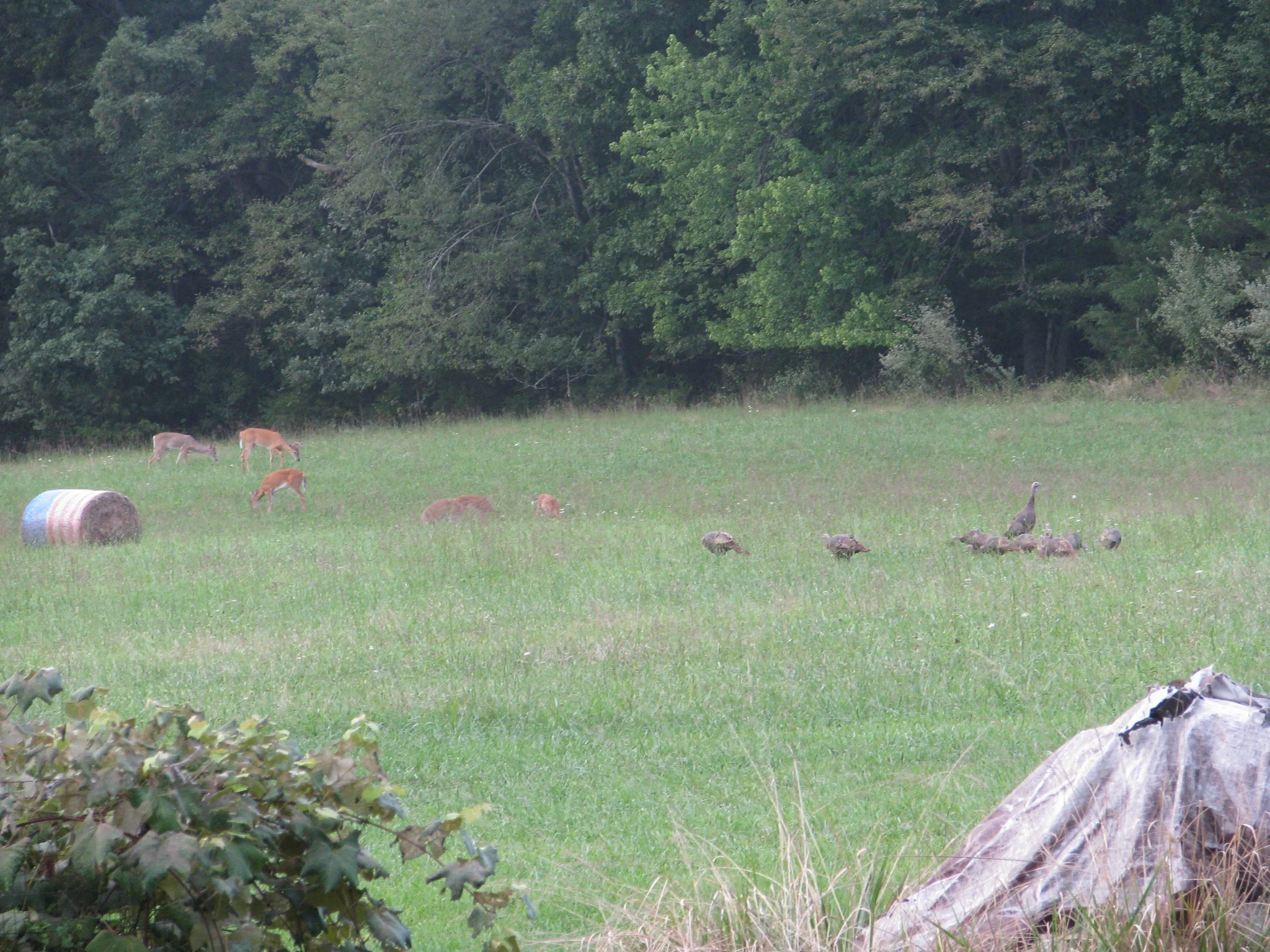 IMG_2510.webp