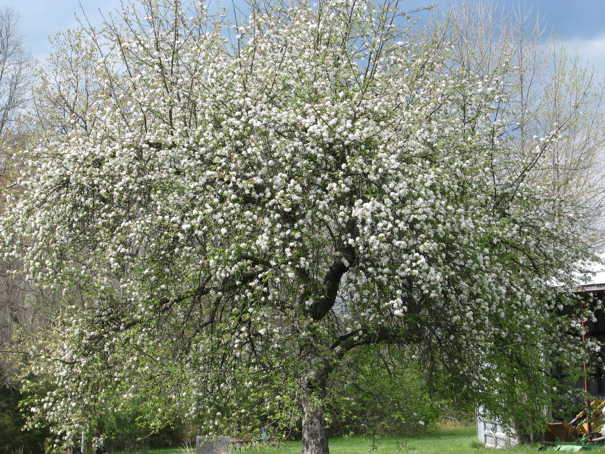 IMG_2585.webp