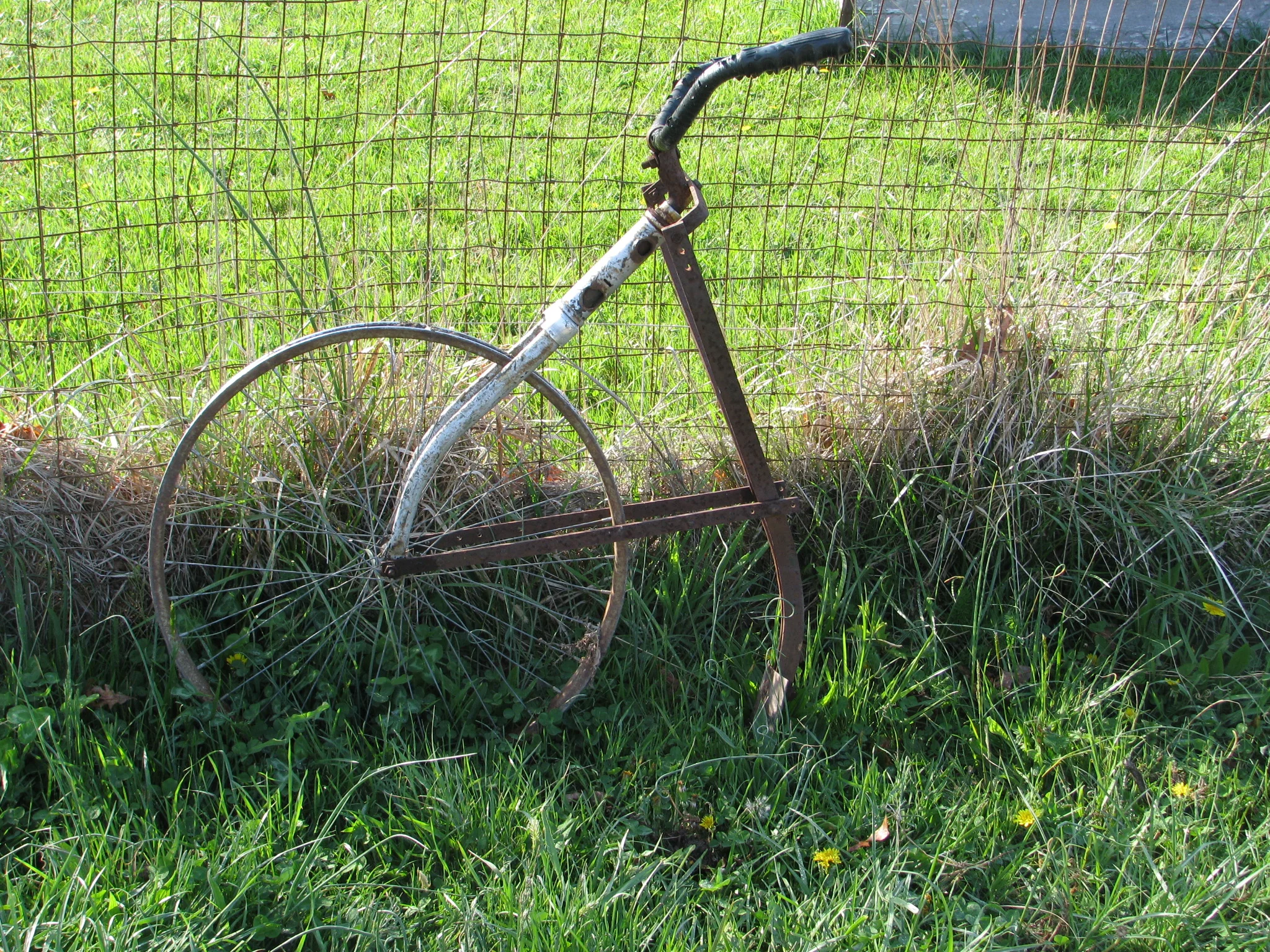 IMG_2631.webp
