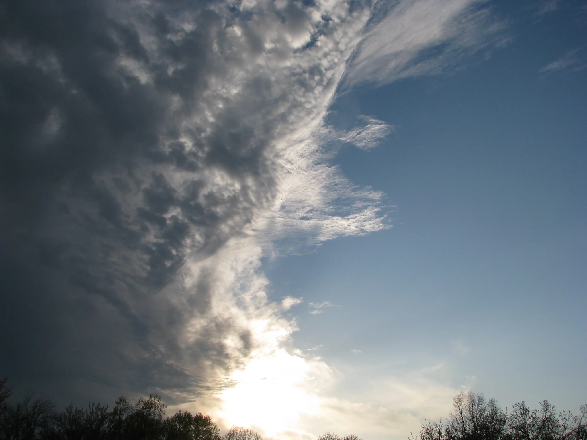 IMG_2677.webp