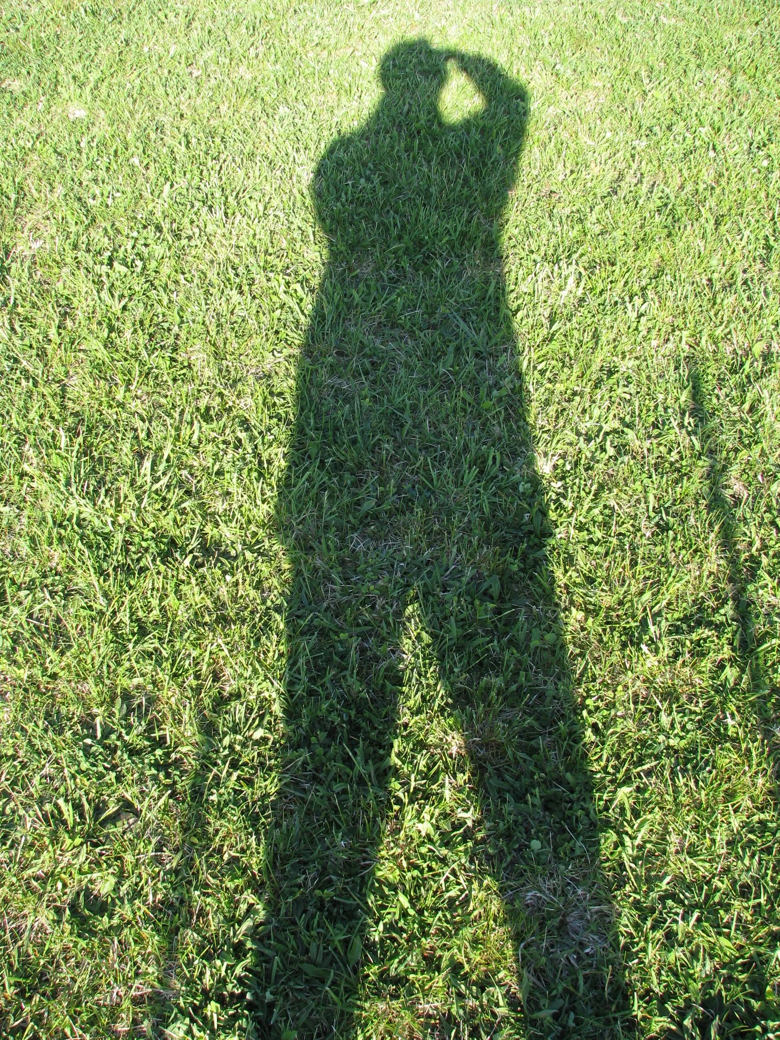 IMG_2746.webp