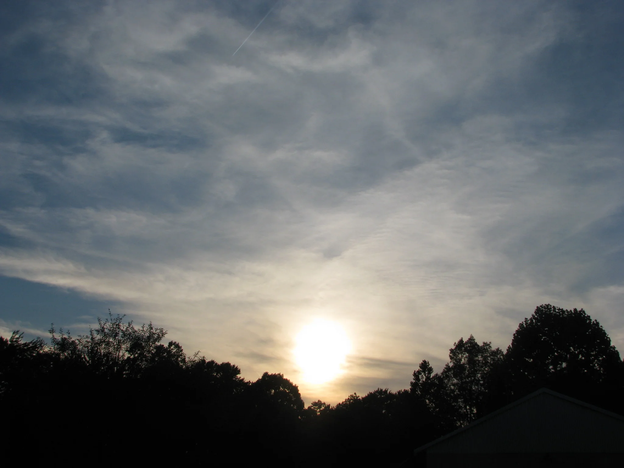 IMG_2905.webp