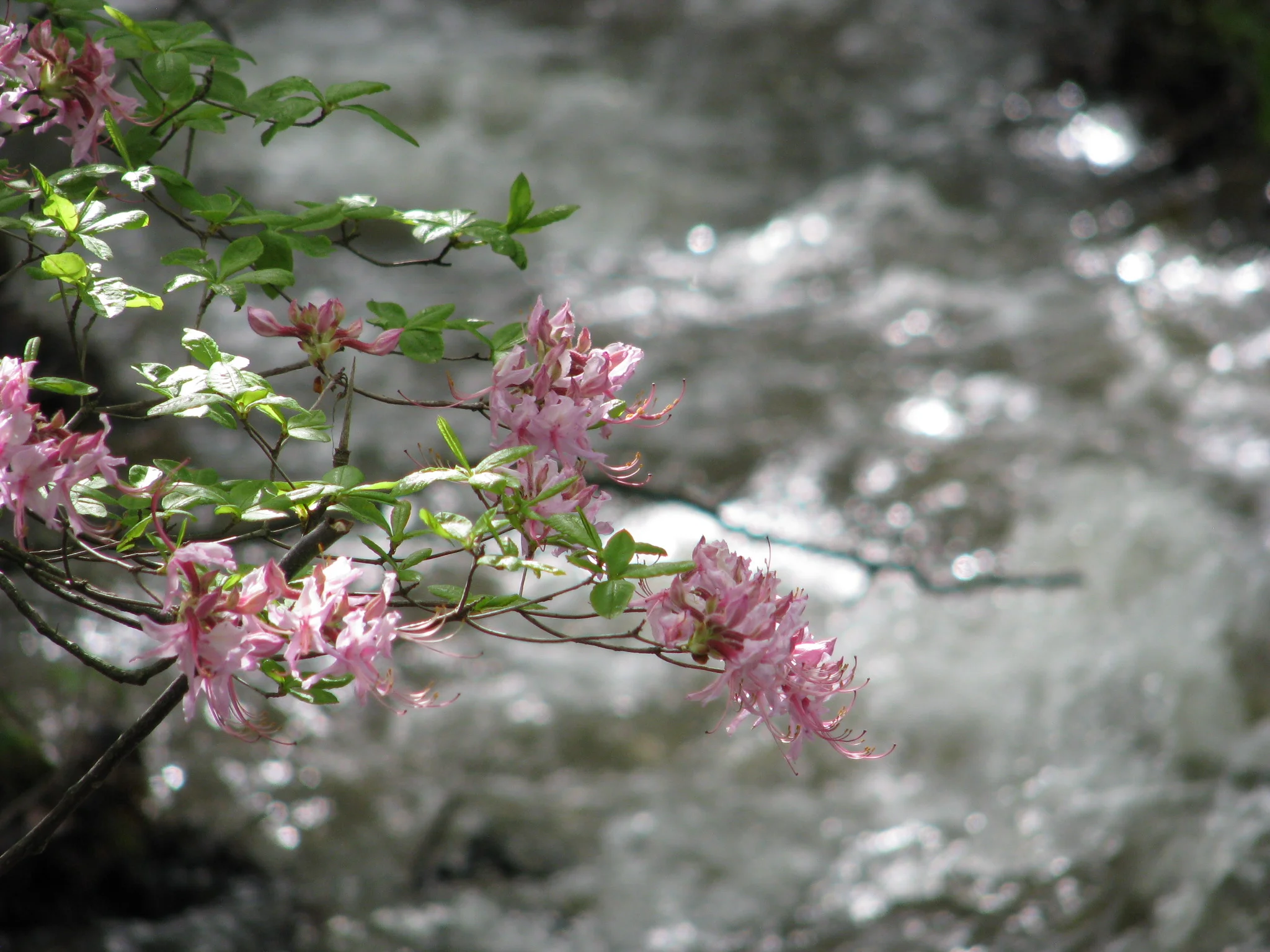 IMG_3048.webp