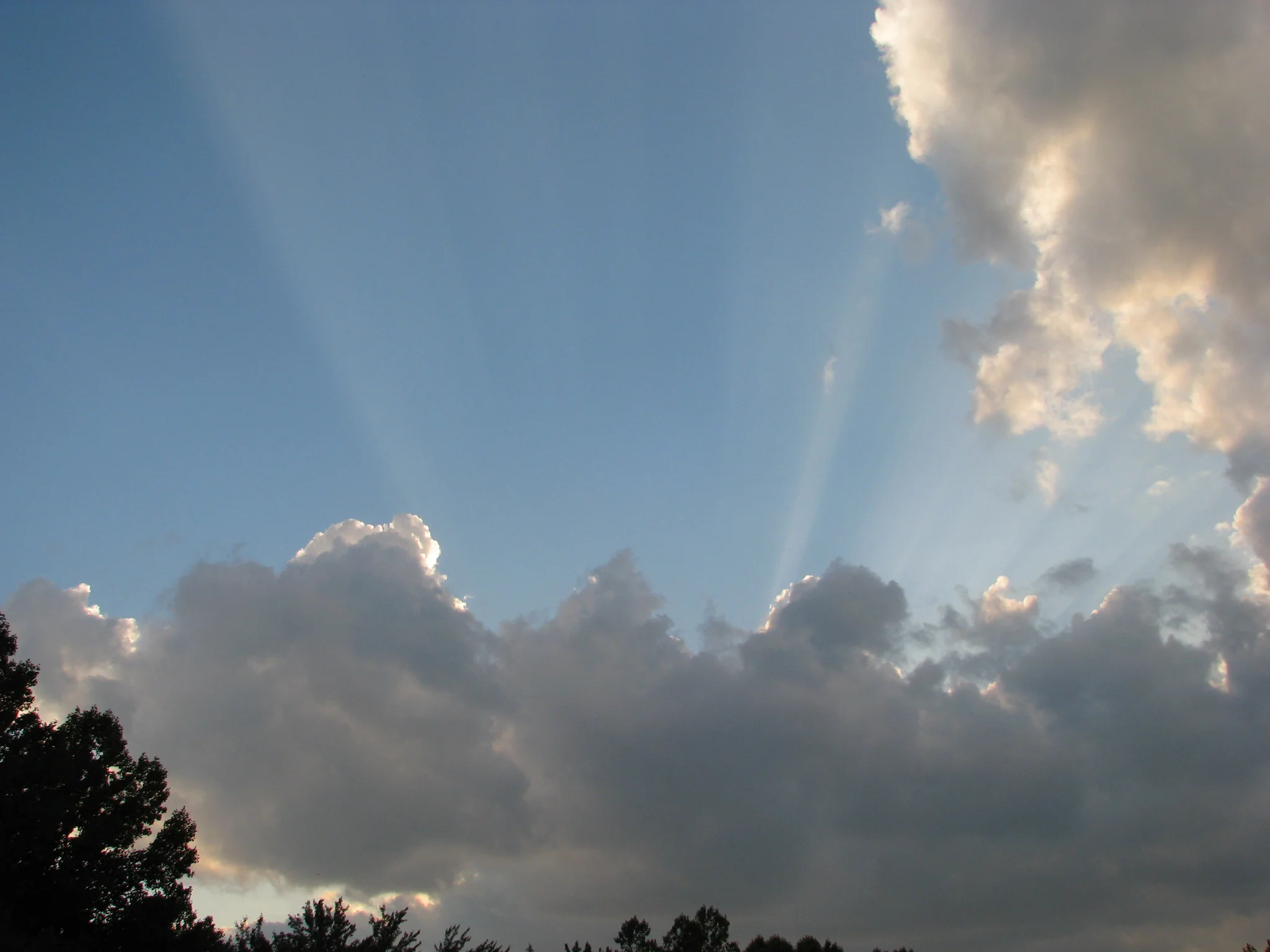 IMG_3147.webp