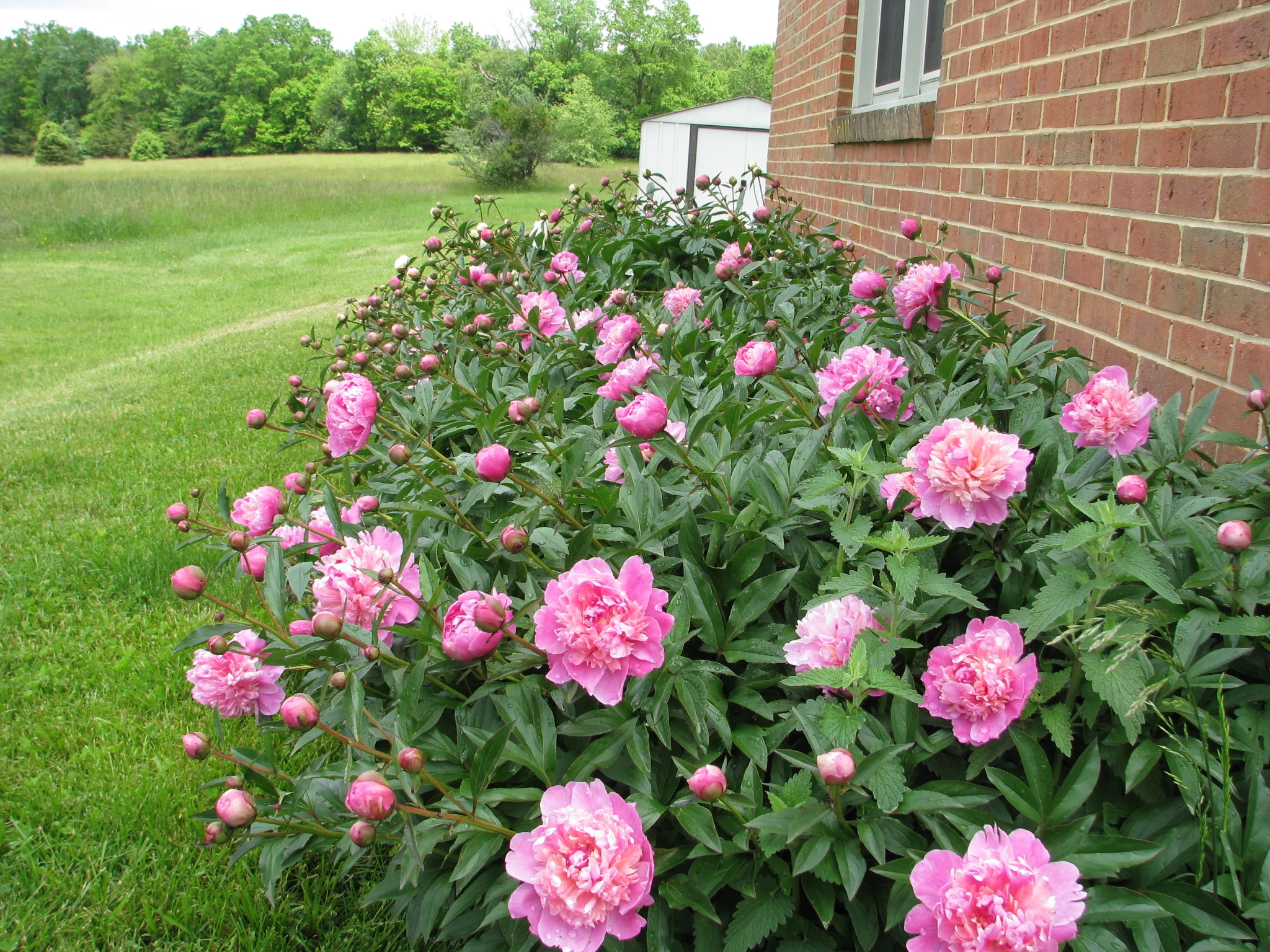 IMG_3316.webp