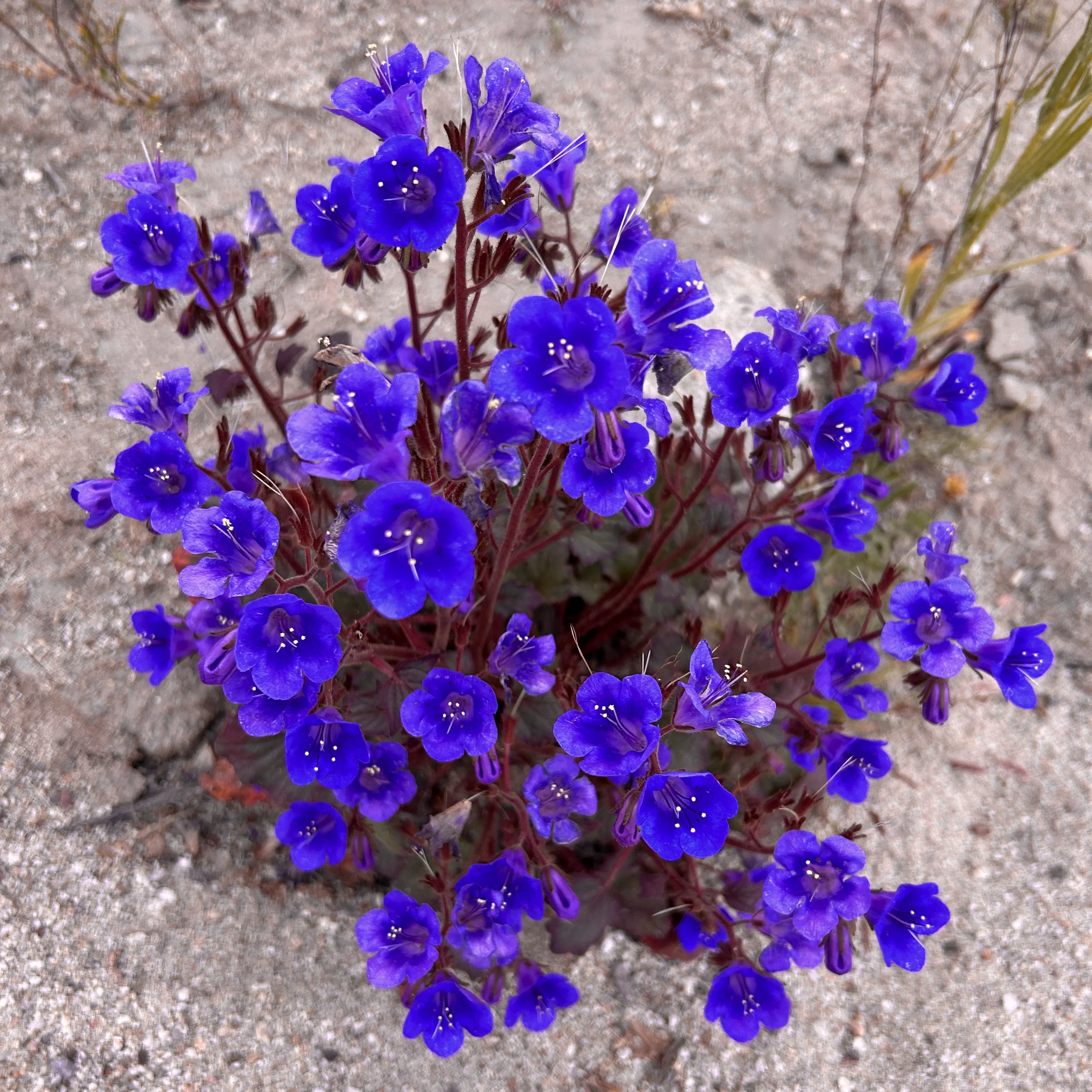 IMG_3322.webp