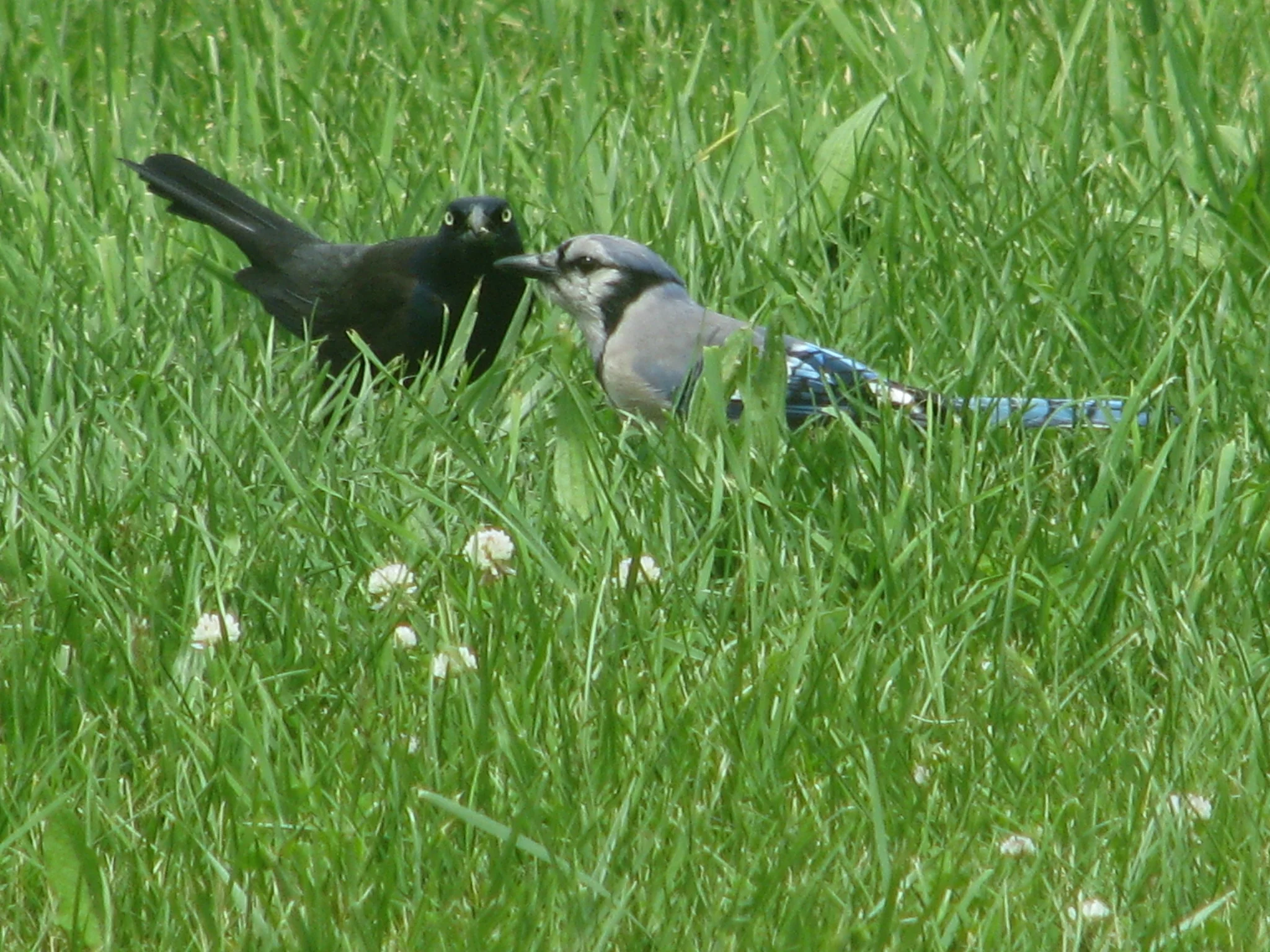 IMG_3496.webp